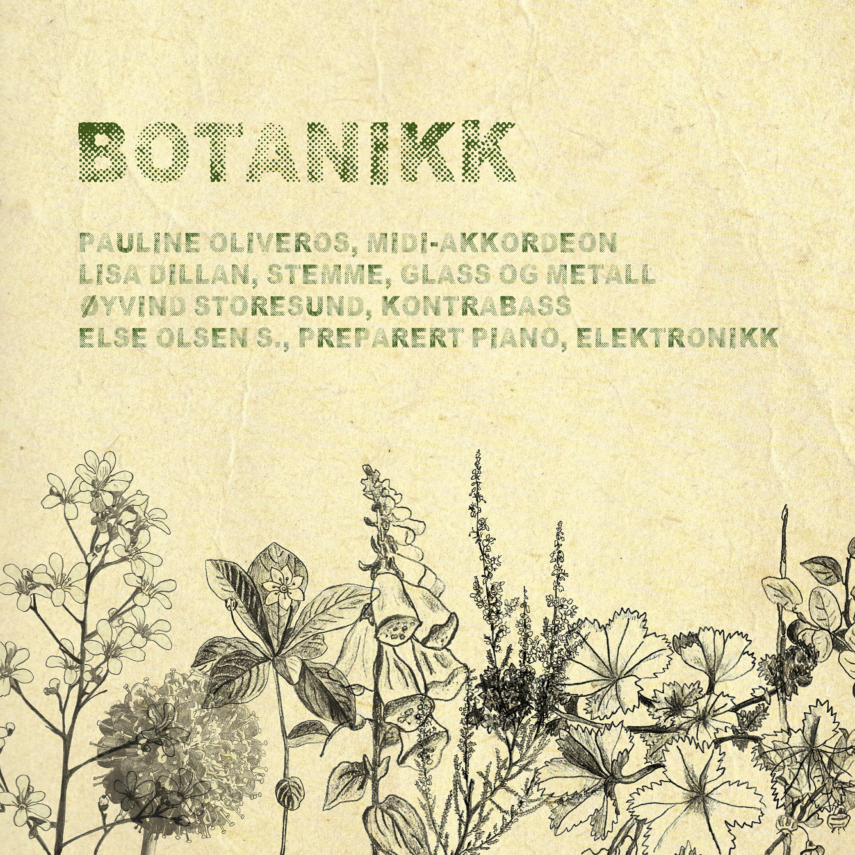 Else Olsen Storesund - Alchemilla