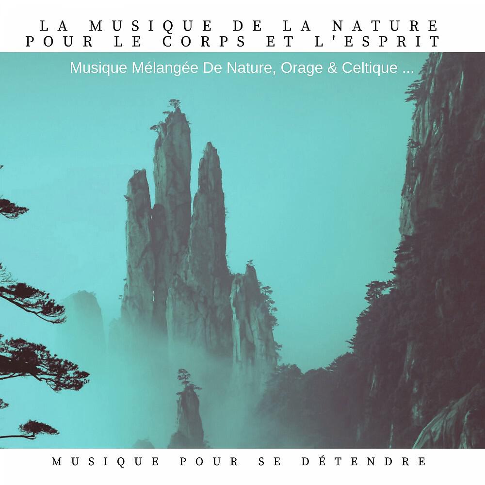 Musique Pour Se Détendre - Thunderstorm and Rain Sound (Magique pour se détendre)