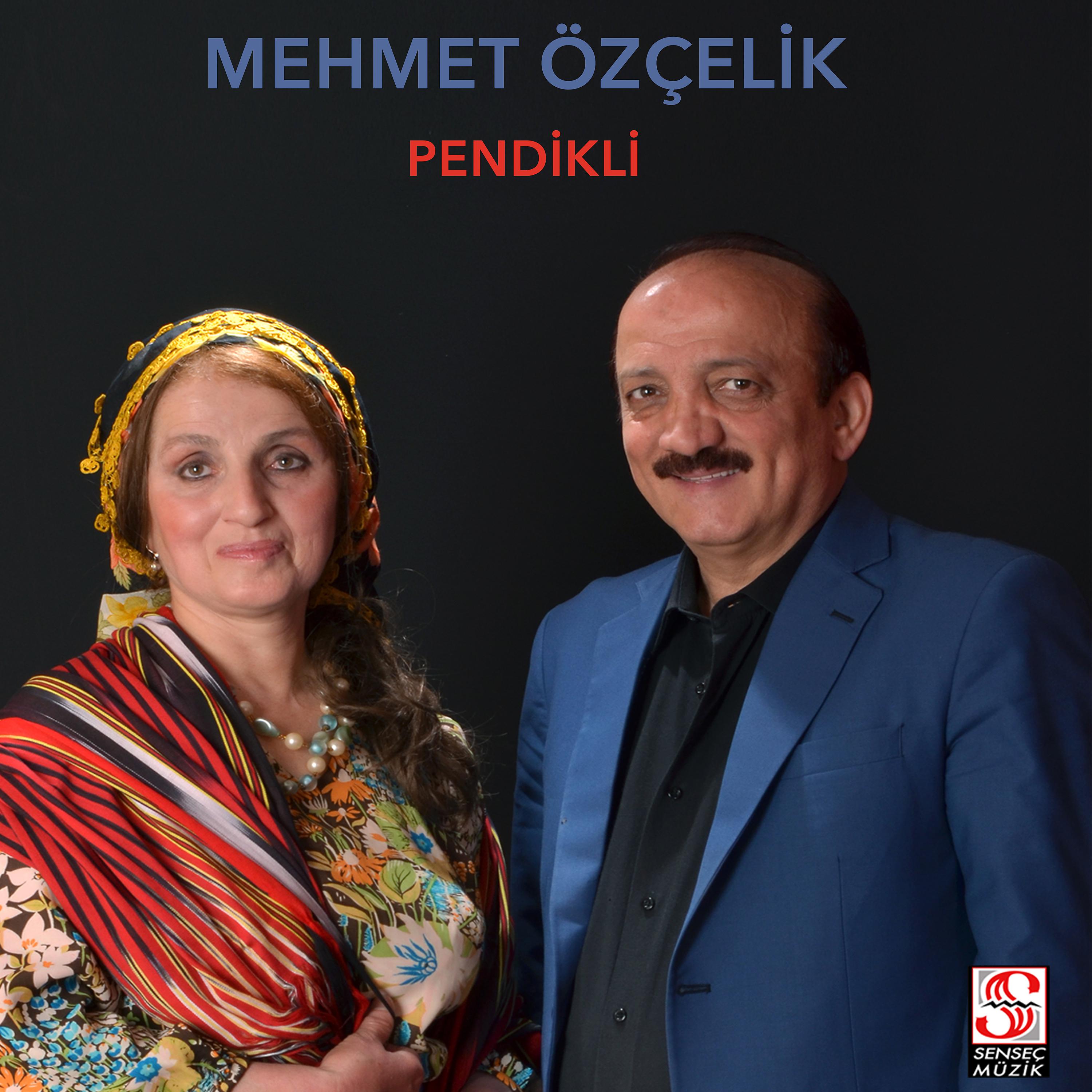 Постер альбома Pendikli