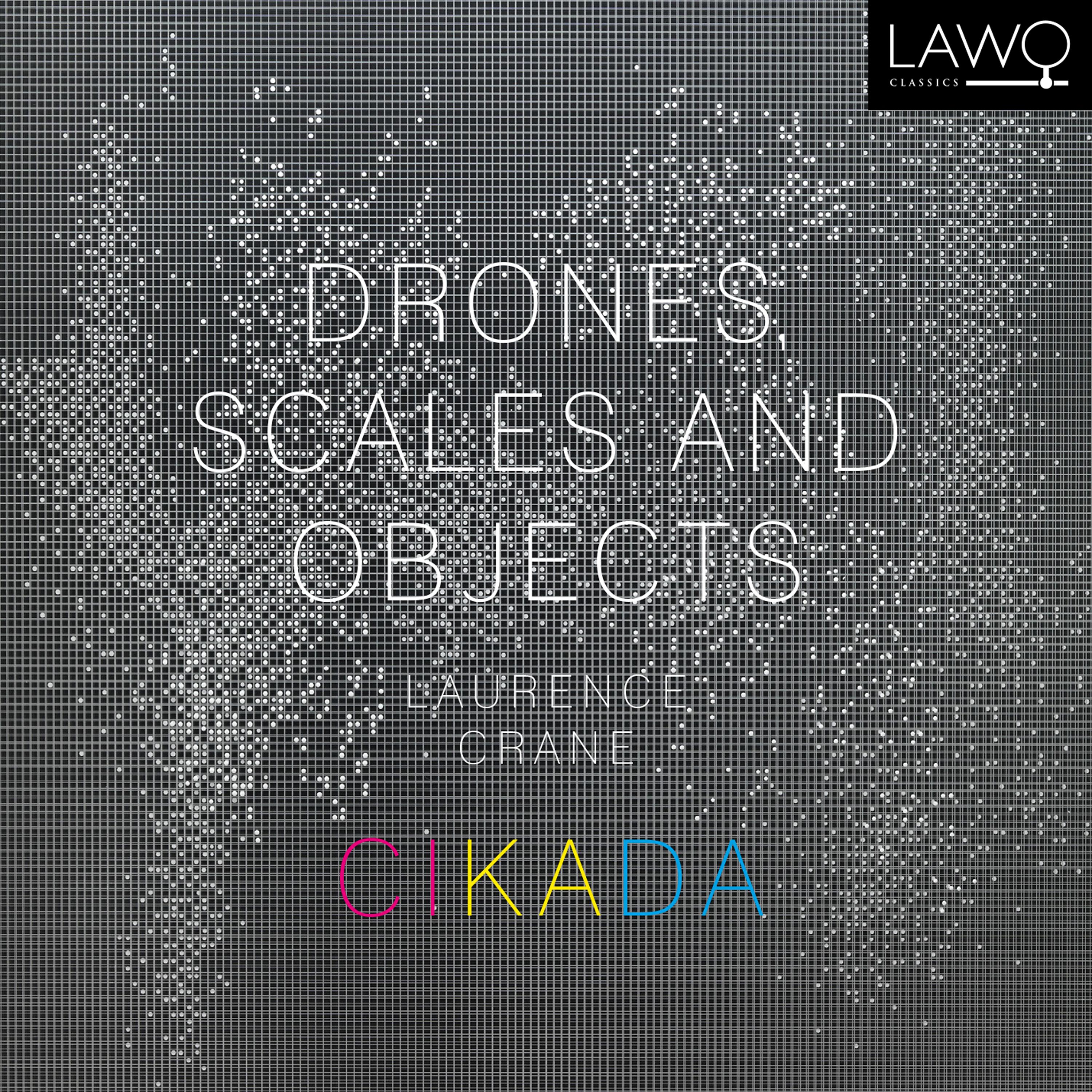 Постер альбома Drones, Scales and Objects