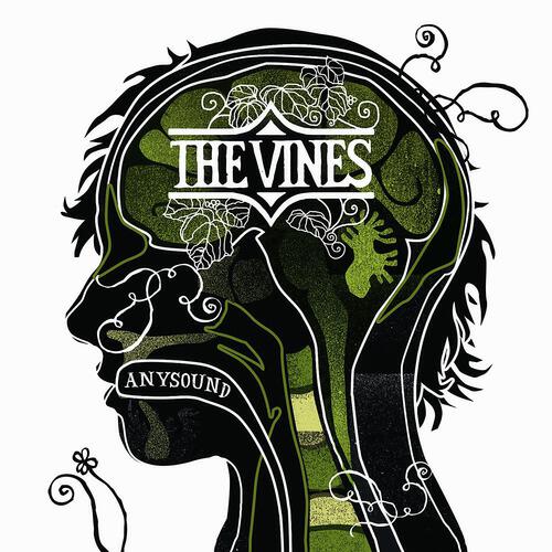 The vines. Vine. The Vines highly Evolved. The Vines album. Don't listen to the Radio the Vines.