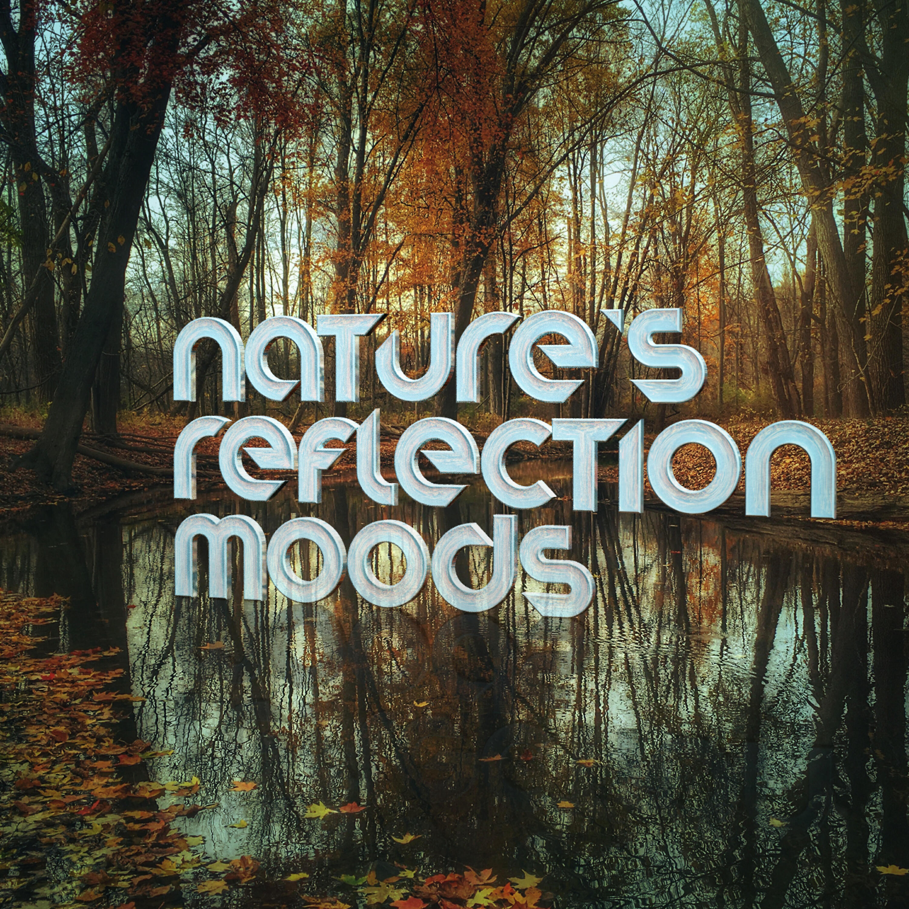 Nature Moods - A Quiet Walk