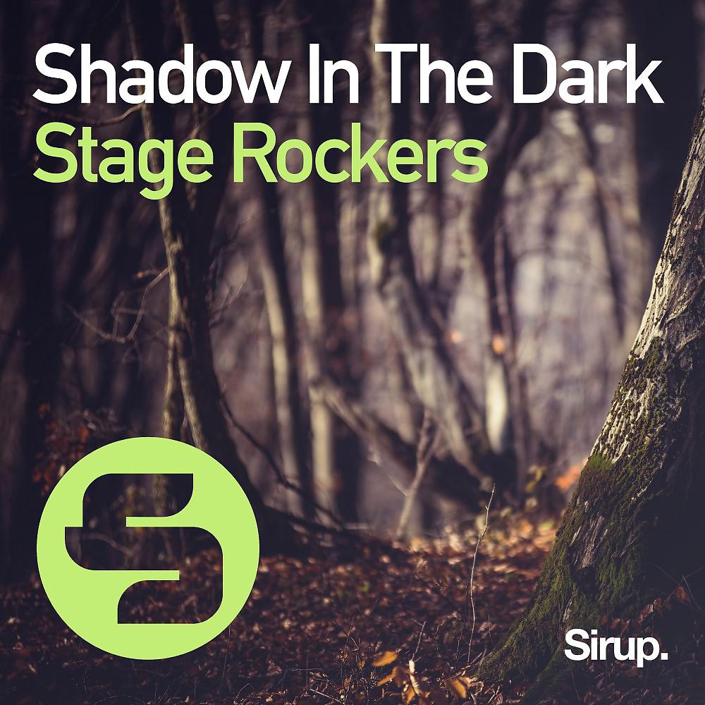 Постер альбома Shadow in the Dark