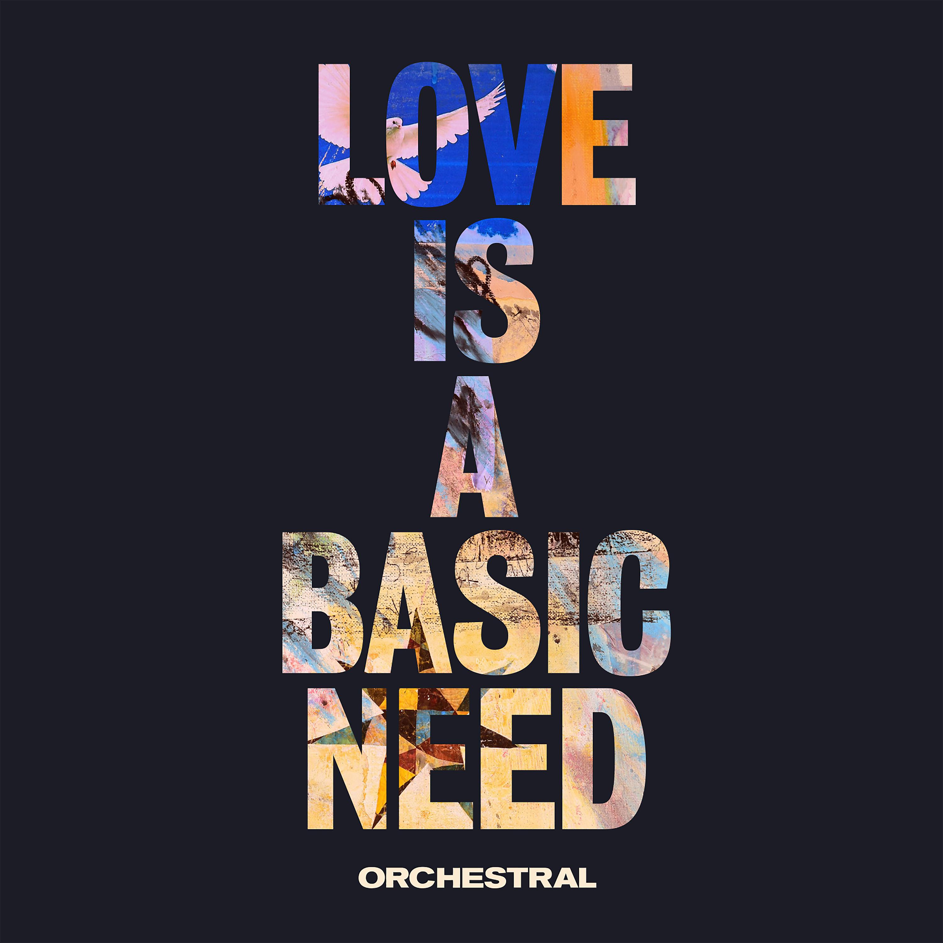 Постер альбома Love is a Basic Need (Orchestral)