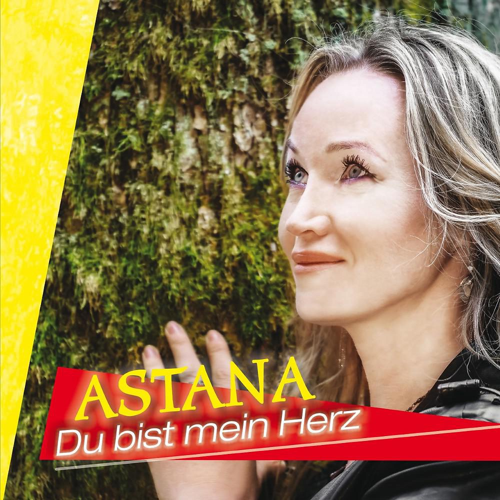 Постер альбома Du bist mein Herz