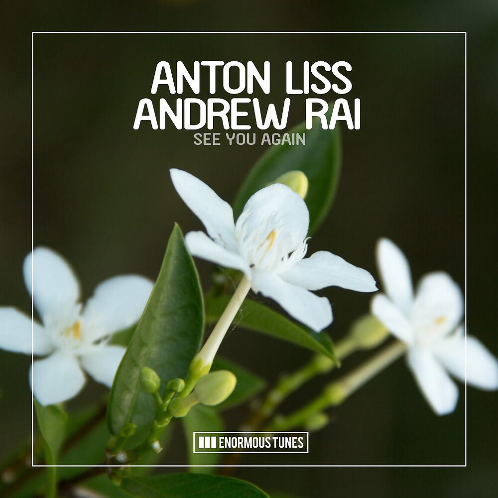 Anton Liss - See You Again