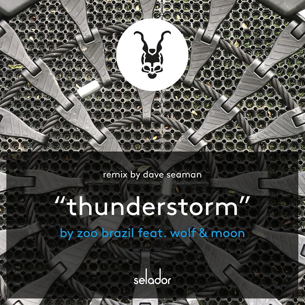 Zoo Brazil - Thunderstorm (Zoo Brazil Club Mix)