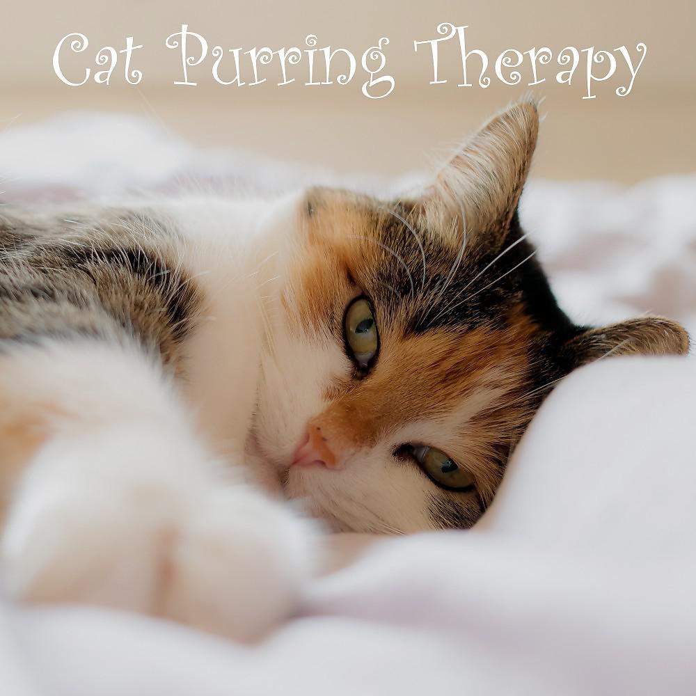 Постер альбома Calming Sounds: Cat Purring Therapy