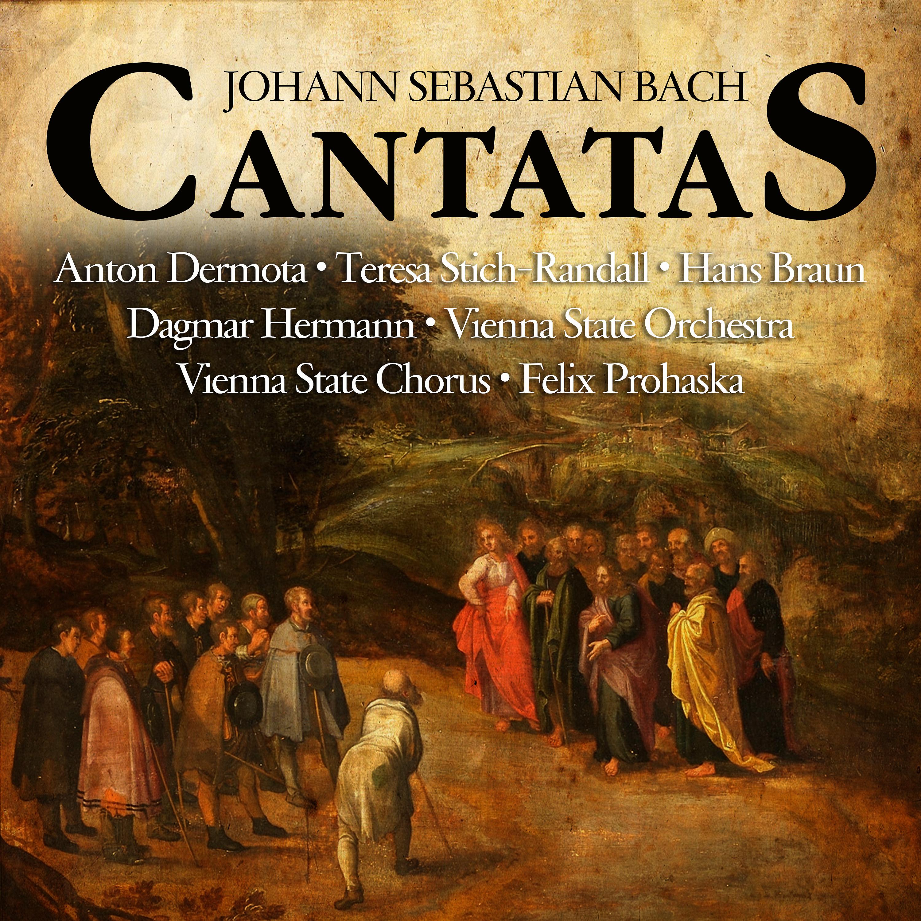 Постер альбома Johann Sebastian Bach :  Cantatas