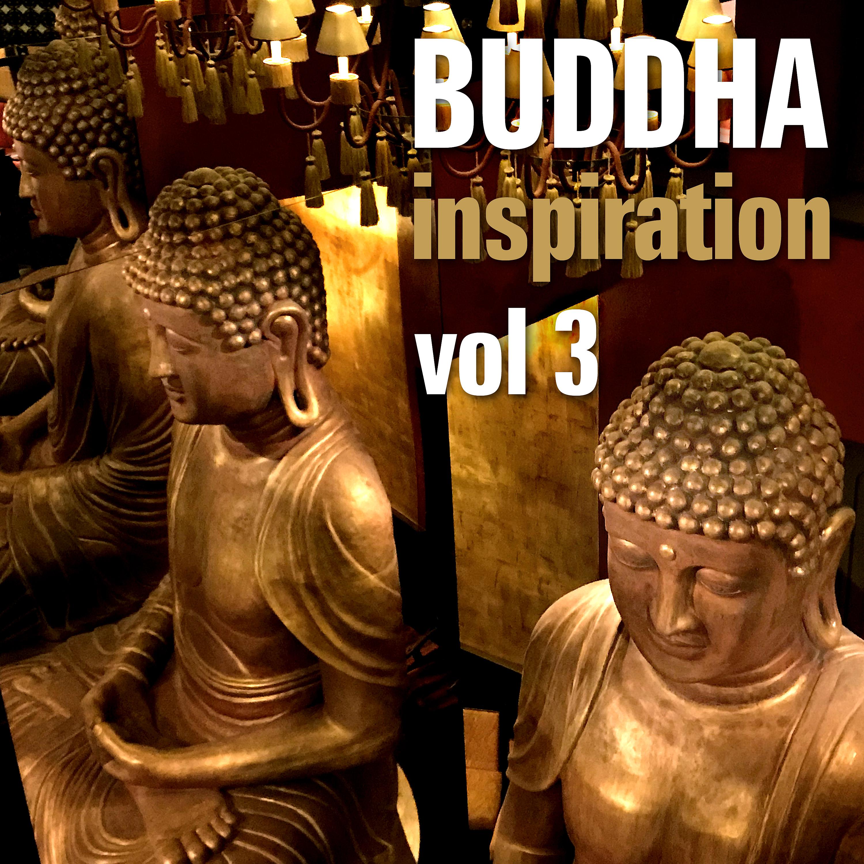Постер альбома Buddha Inspiration, Vol. 3