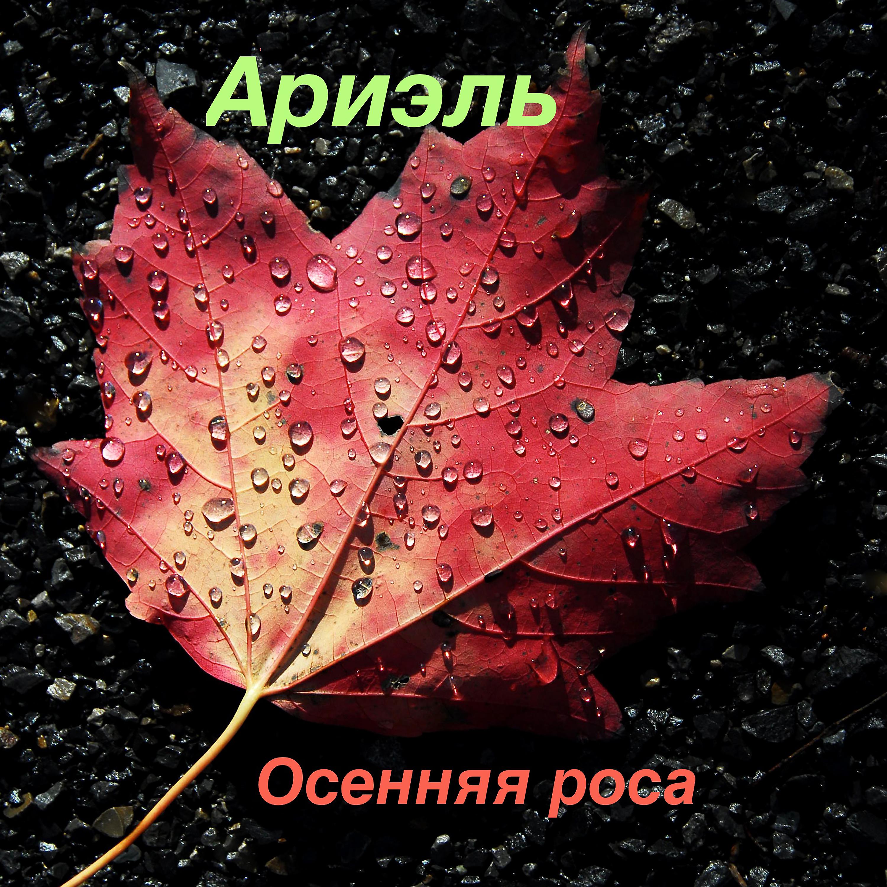 Постер альбома Осенняя роса