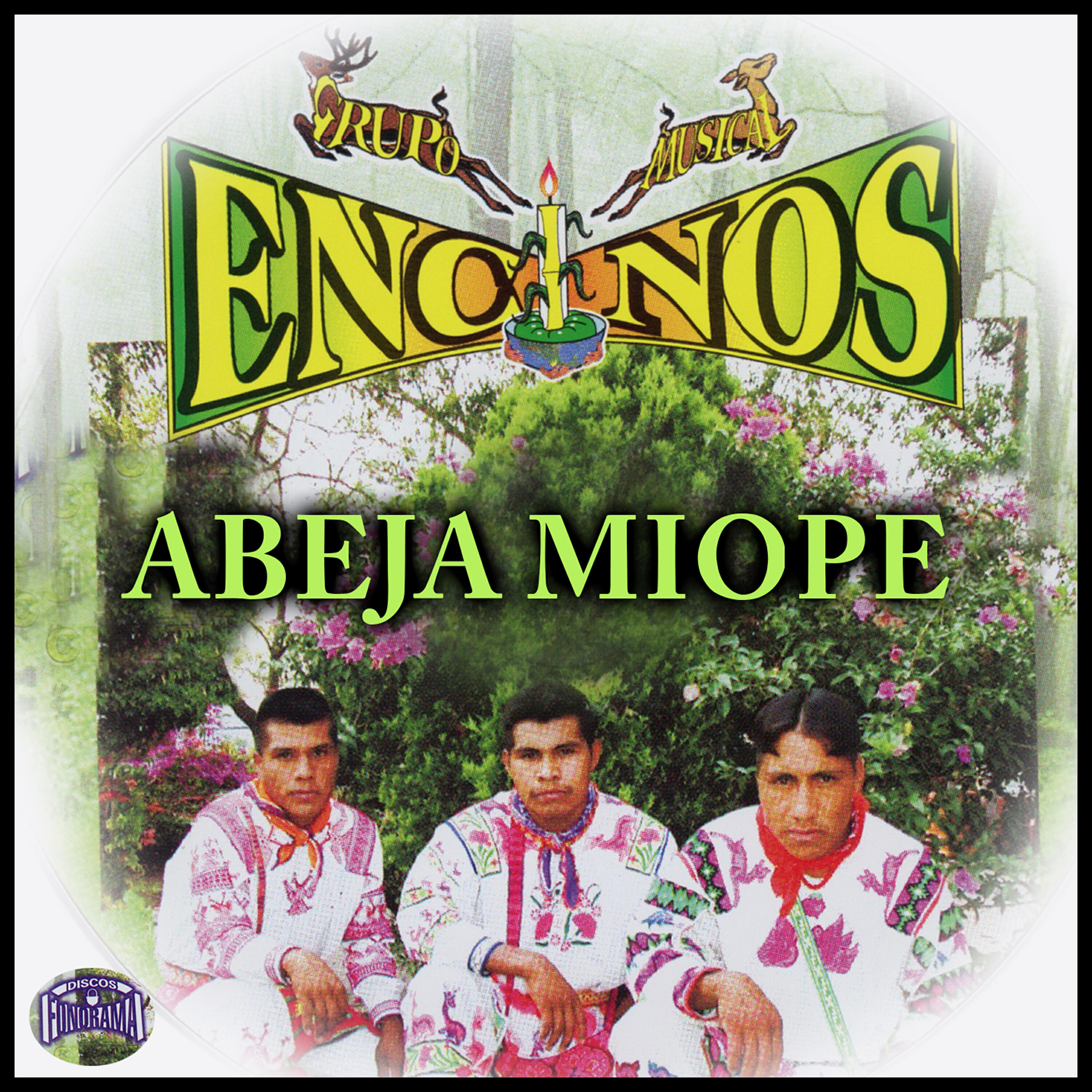 Grupo Musical Encinos - Abeja Miope