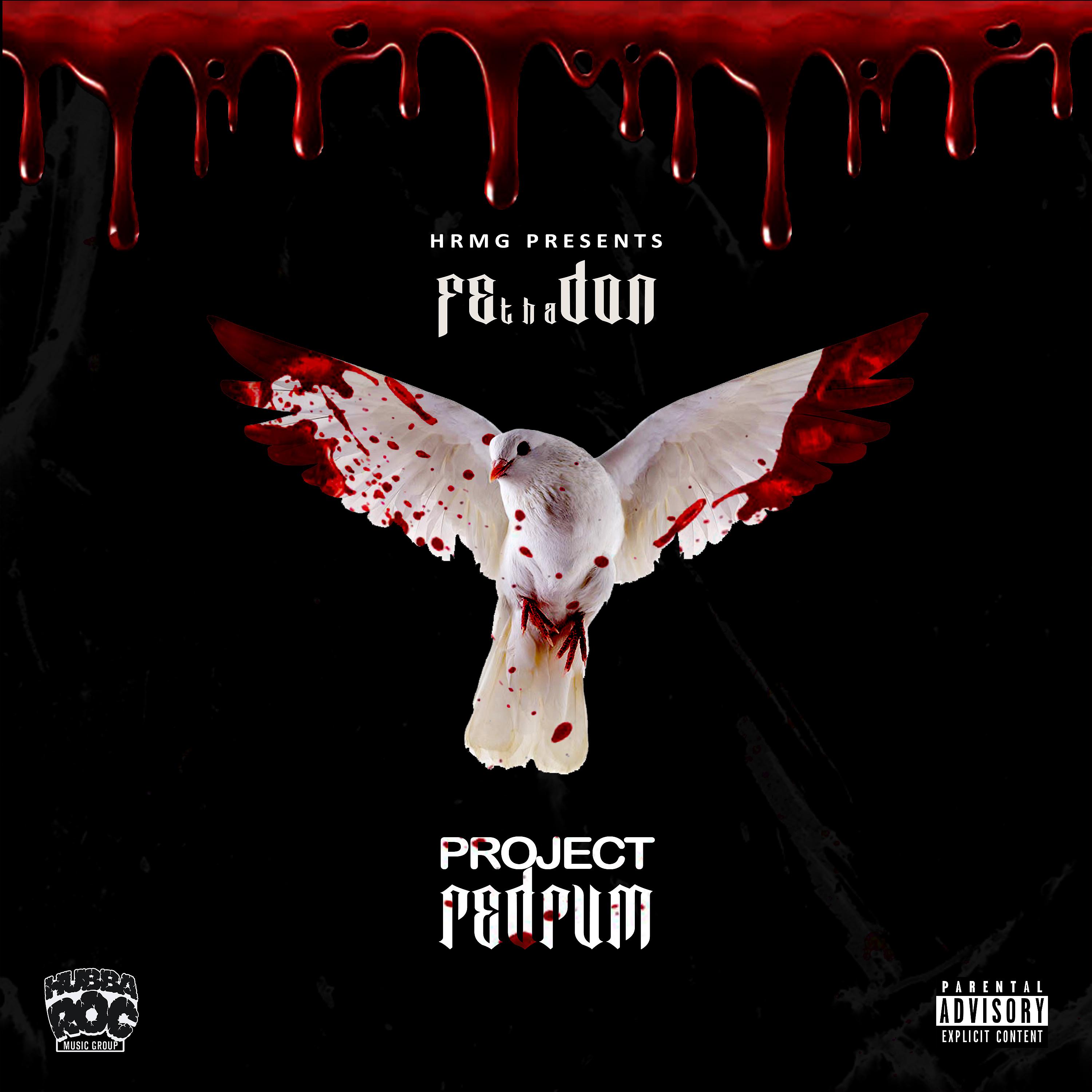Постер альбома Project Redrum