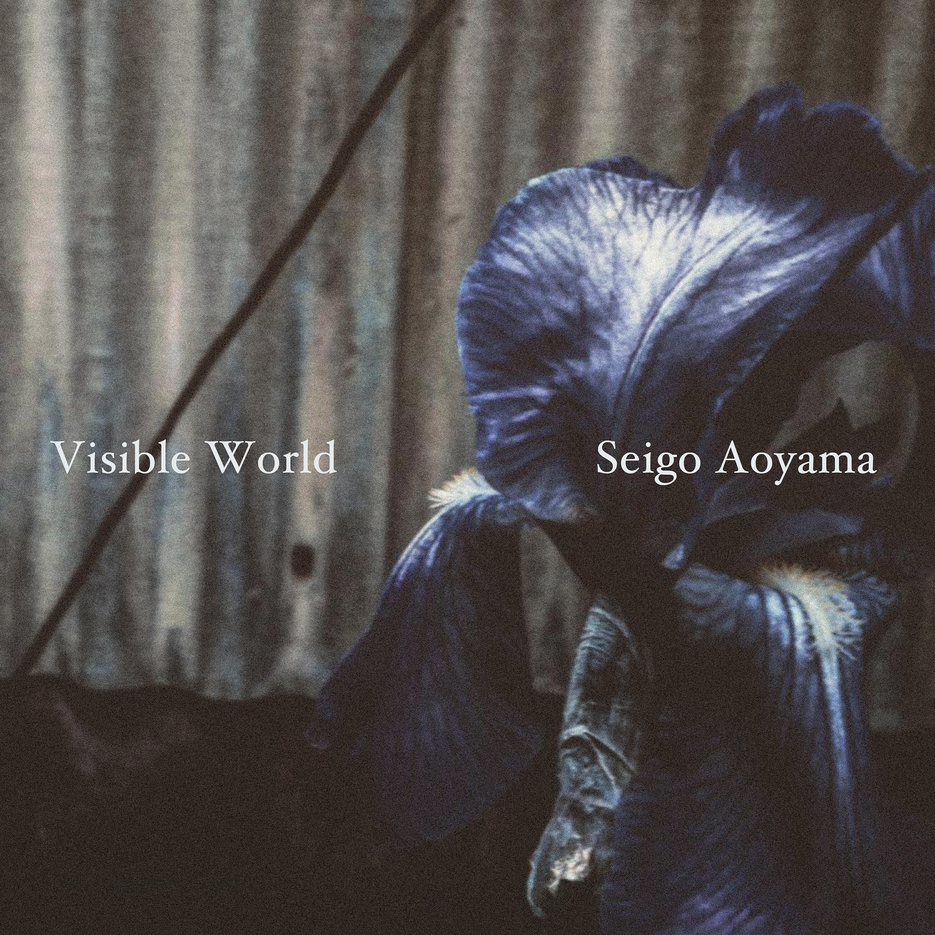 Seigo Aoyama - Northbound