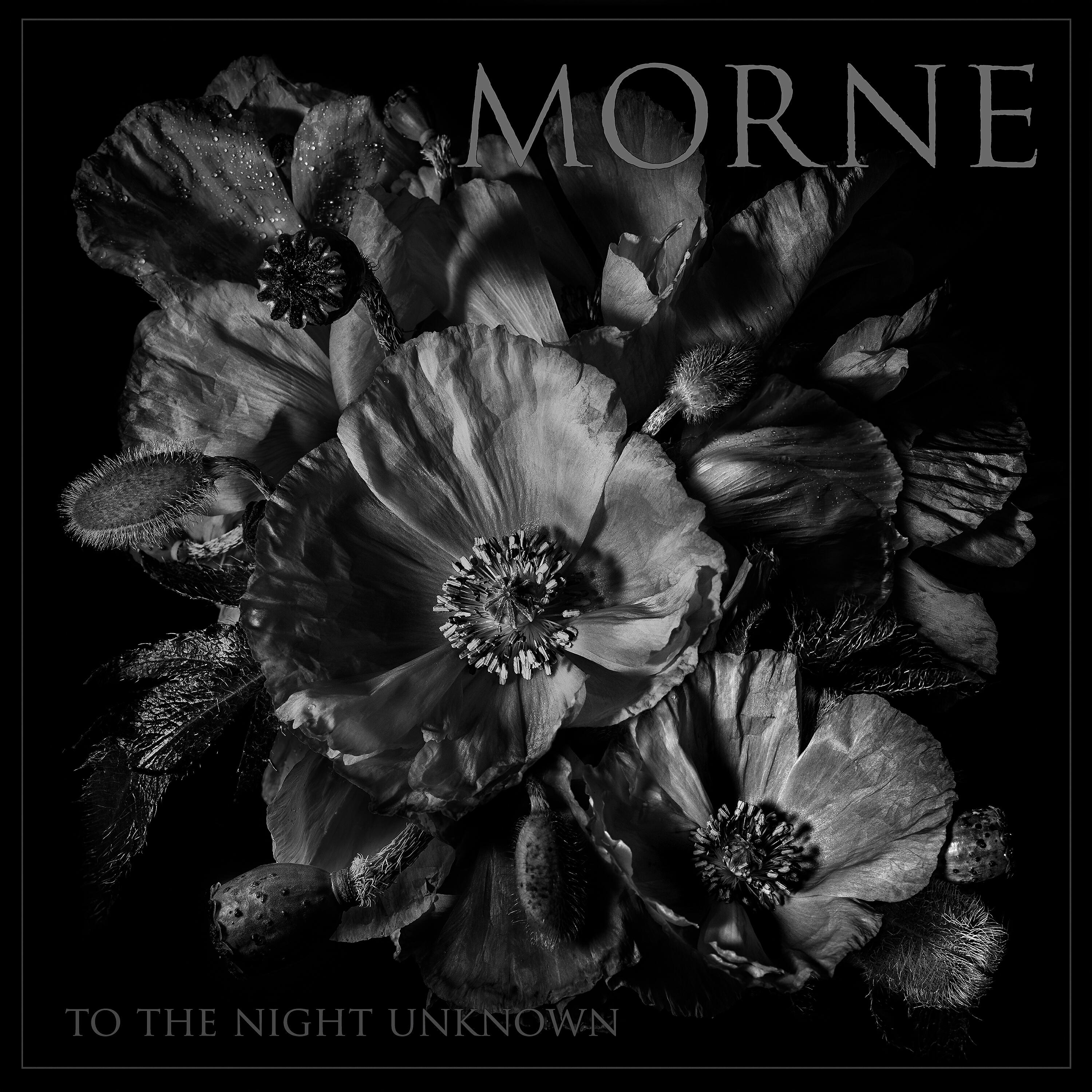 Morne - Scorn