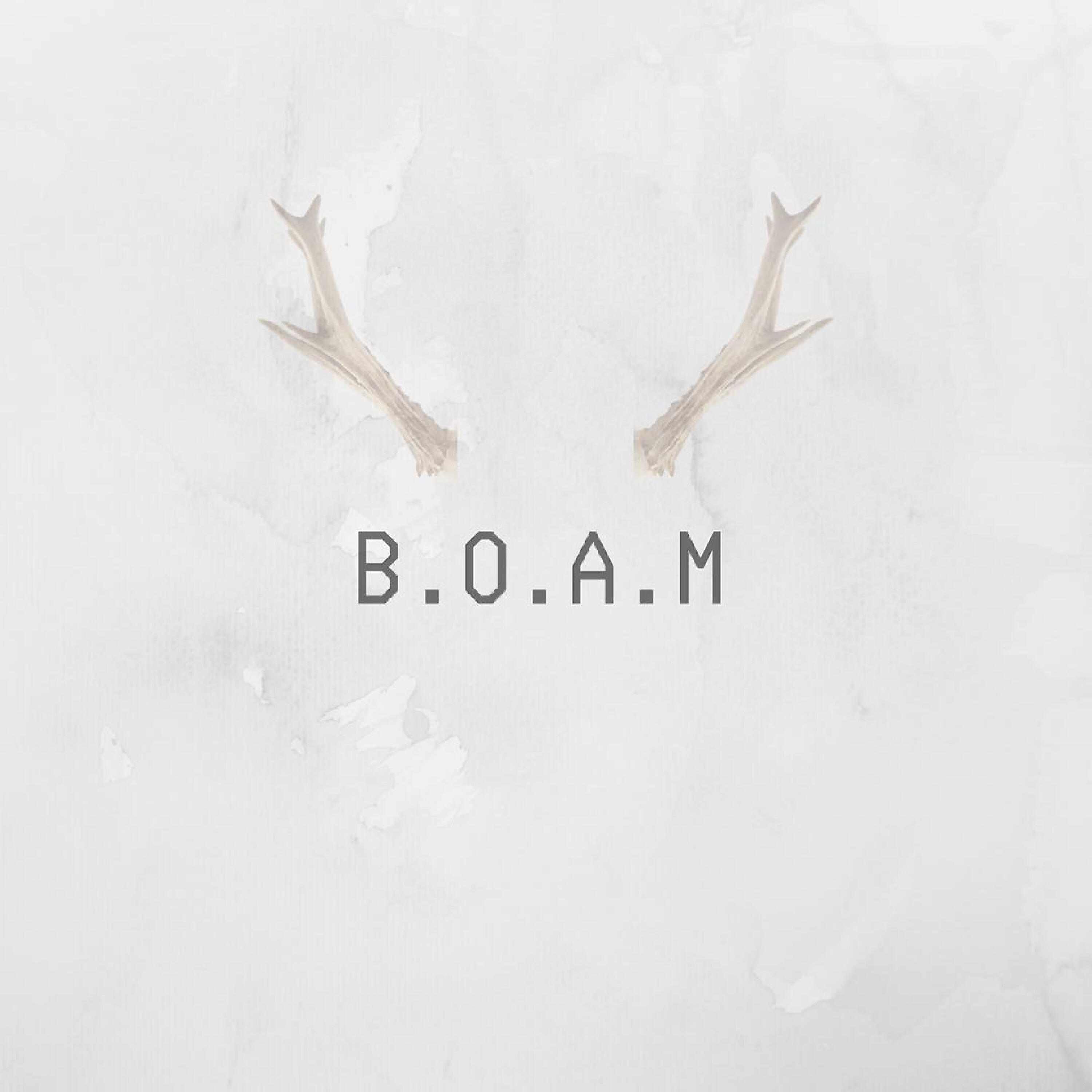 B.O.A.M - R.U.C.