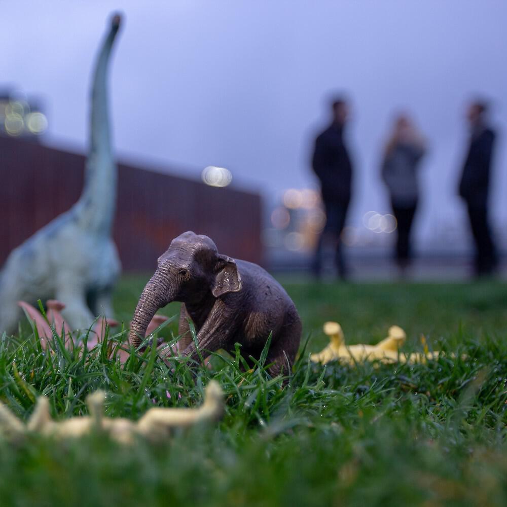 Bang Up 2 The Elephant - Friendly Fire