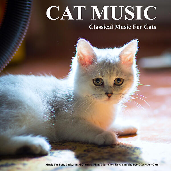 Cat Music - Rhapsody In Blue - Gershwin - Cat Music - Classical Piano Music - Music For Cats