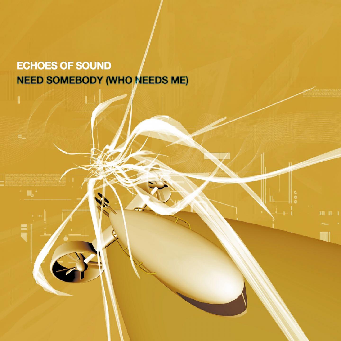 Echoes Of Sound - Need Somebody Who Needs Me (Tom Tom Club Mix)