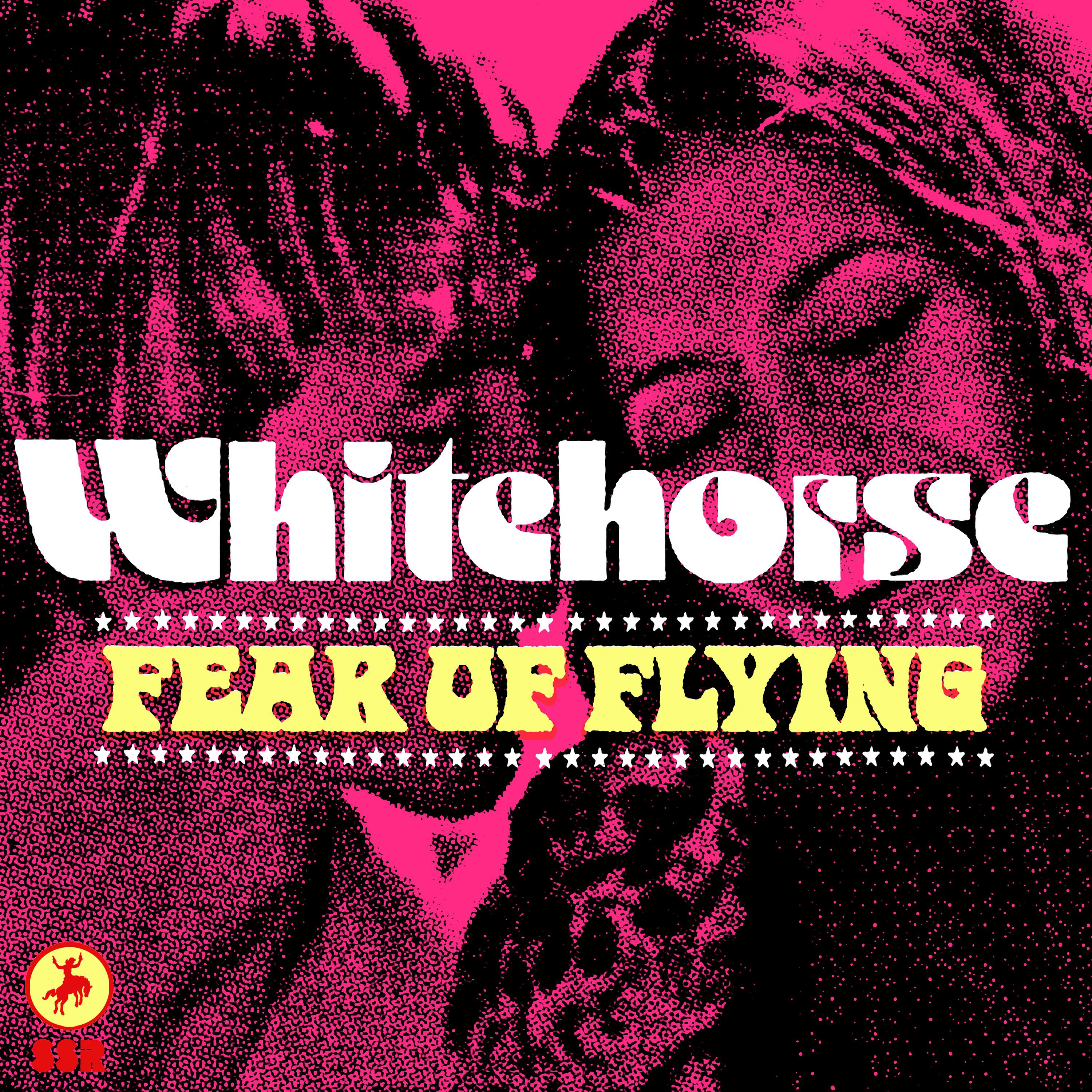 Постер альбома Fear of Flying