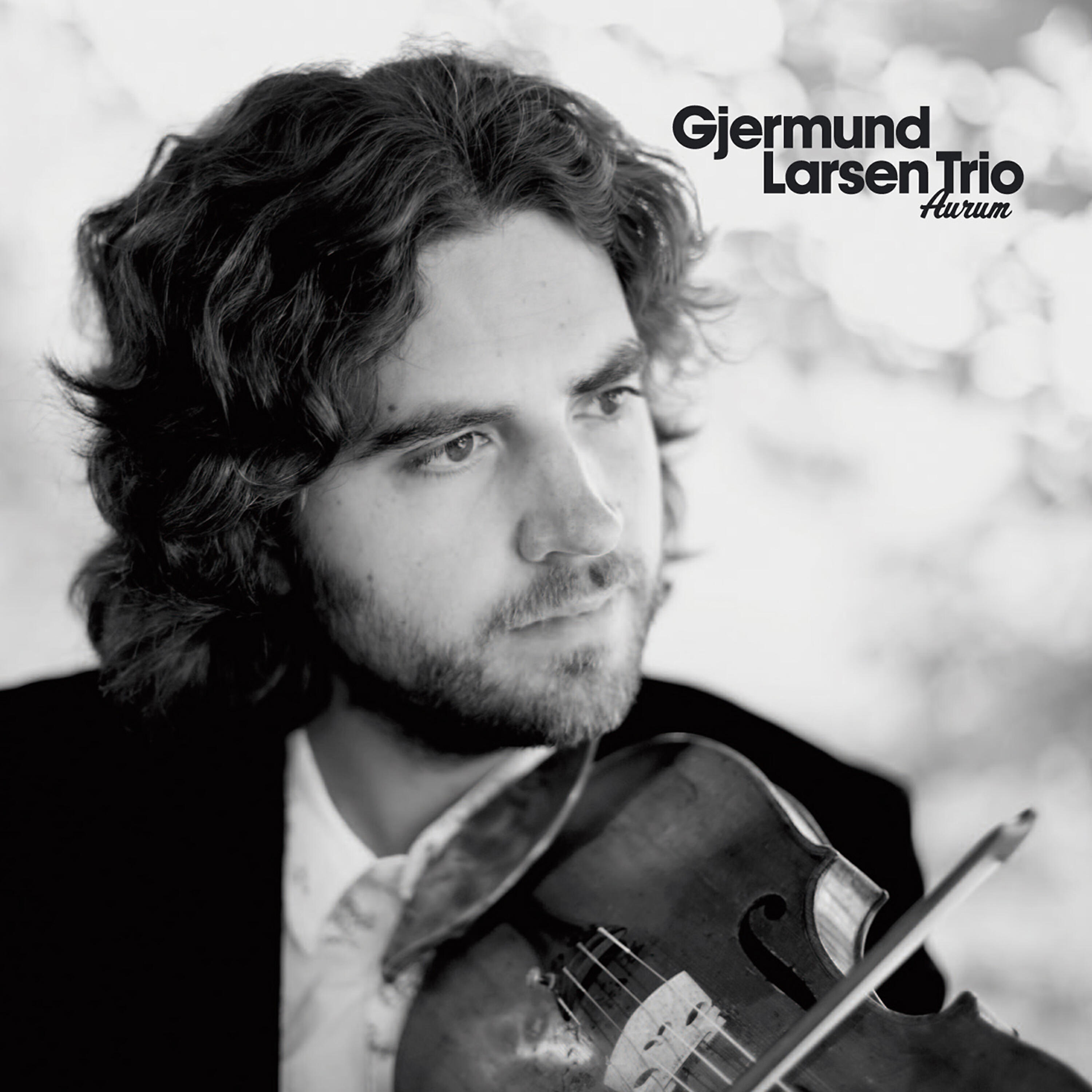 Gjermund Larsen Trio - Aurum
