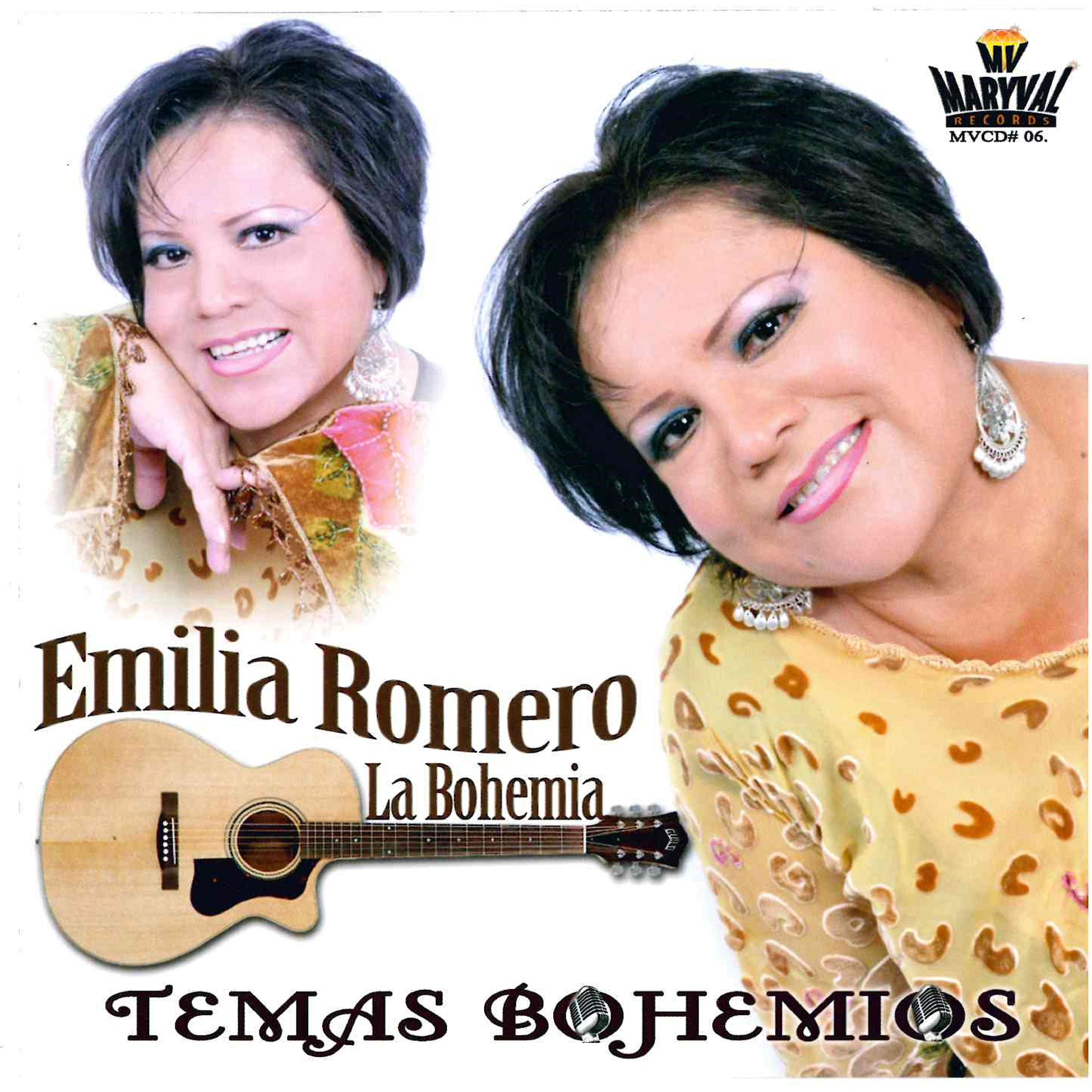 Постер альбома Temas Bohemios