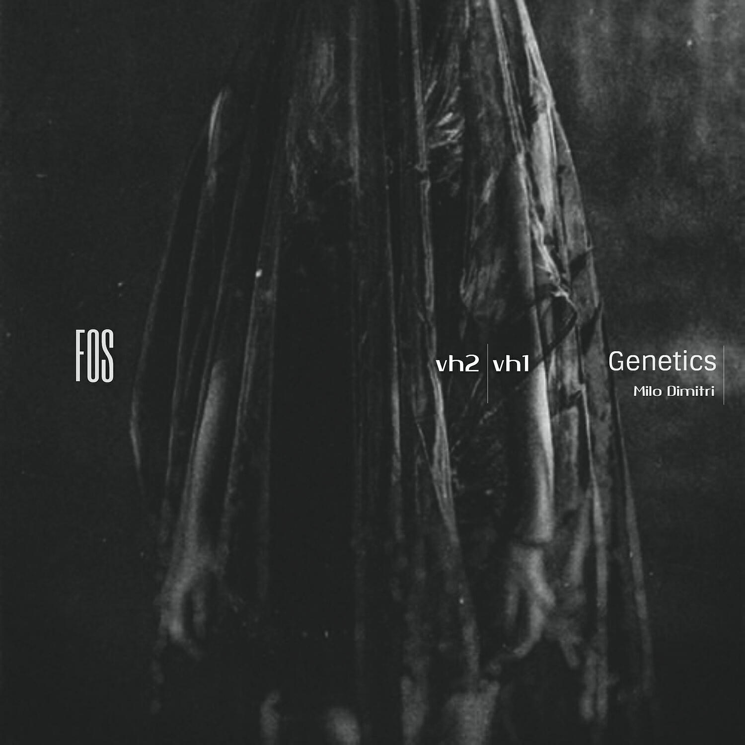 Milo Dimitri - vh2