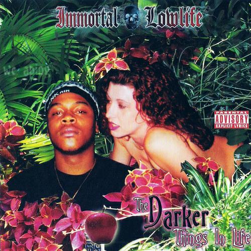 Mr. Sche - Immortal Lowlife