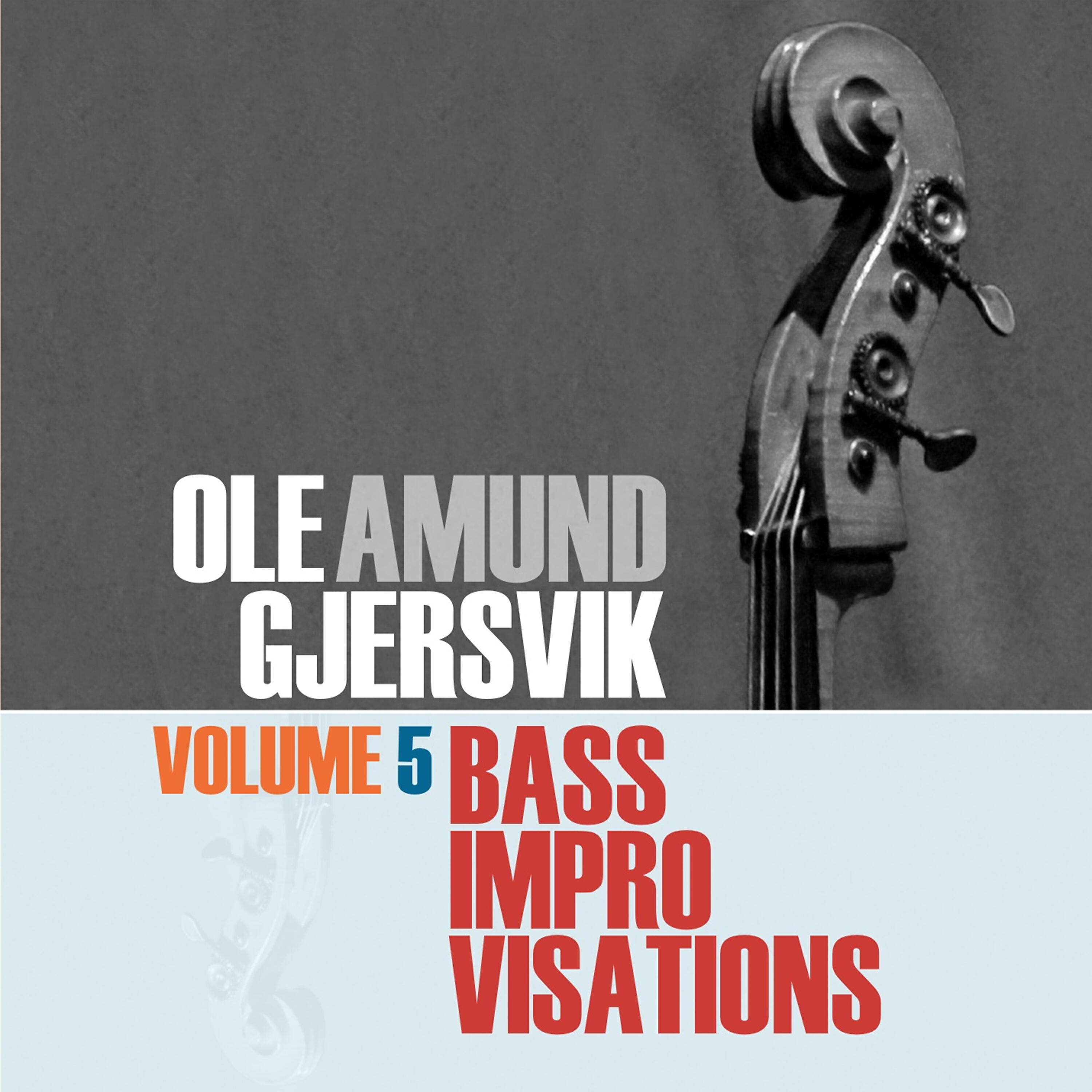 Ole Amund Gjersvik - Bass Impro No. 81