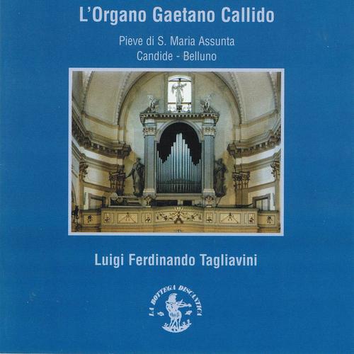 Постер альбома L'organo Gaetano Callido (1797 - 1799)