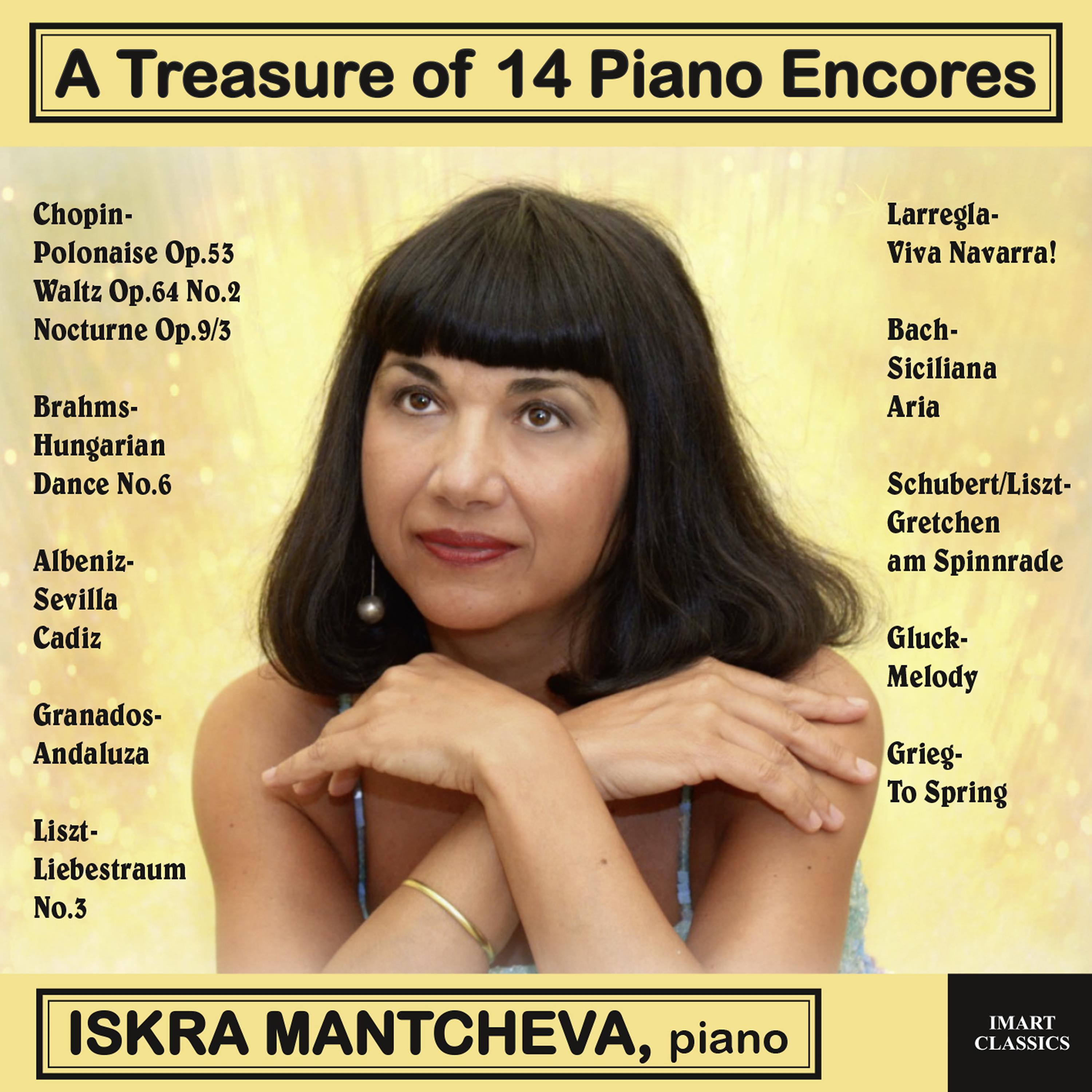 Постер альбома A Treasure of 14 Piano Encores