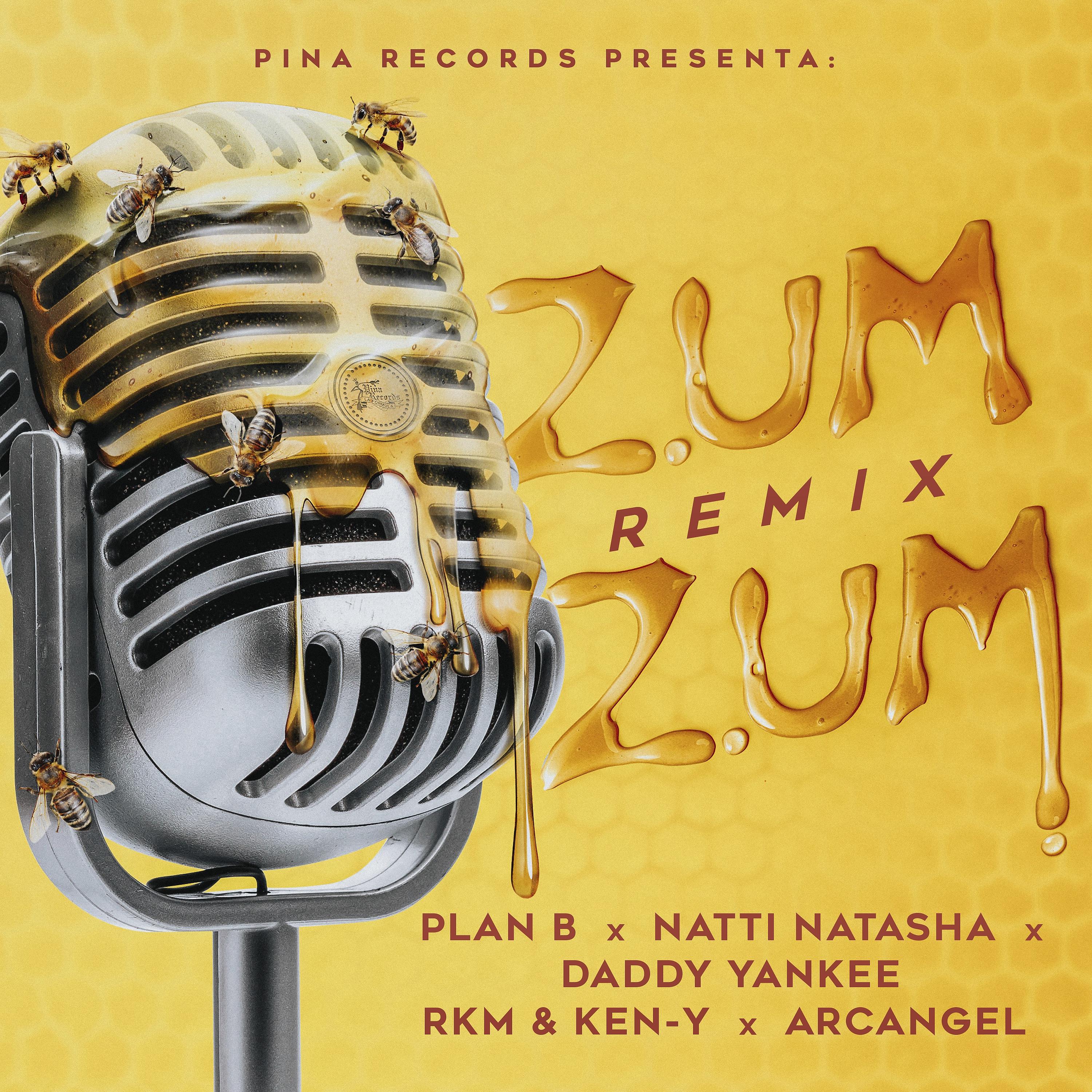 Постер альбома Zum Zum (Remix)