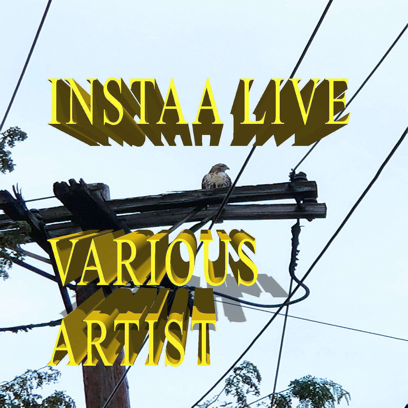 VARIOUS ARTISTS - Insta Live Riddim (Instrumental)