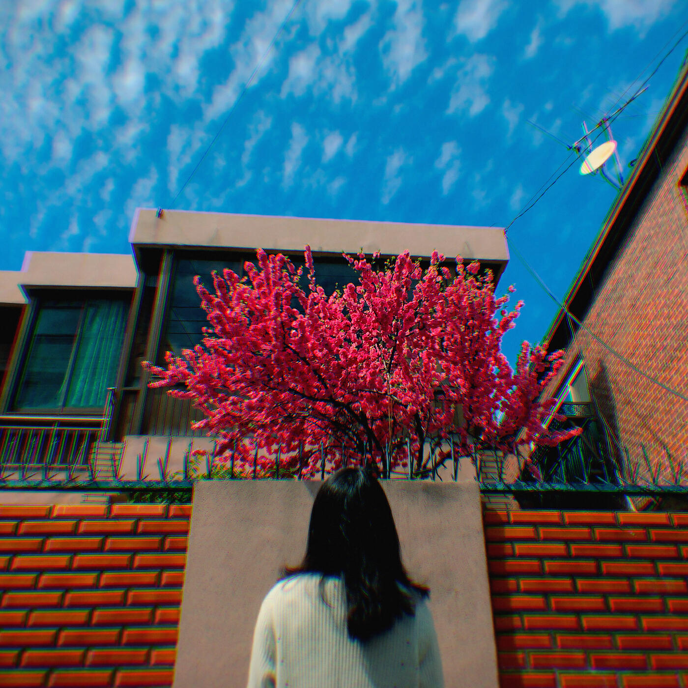 SORAE - This Day (with MONK)