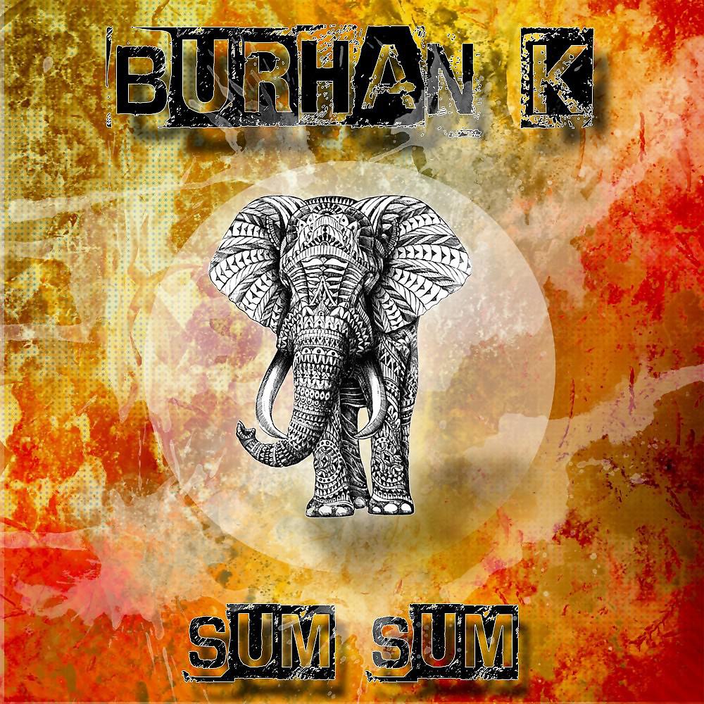 Постер альбома Sum Sum
