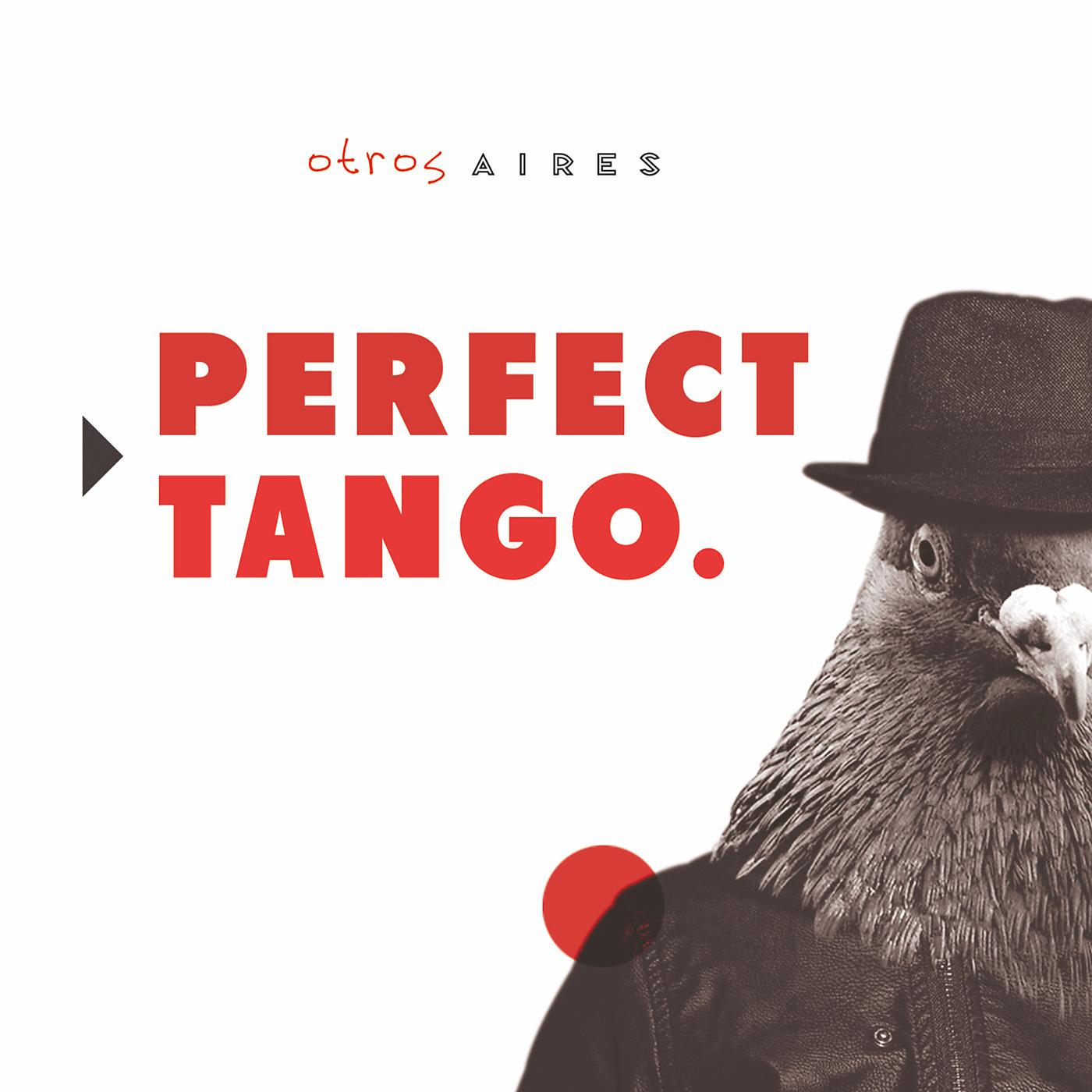 Постер альбома Perfect Tango