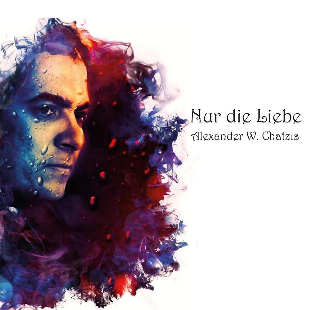 Постер альбома Nur die Liebe
