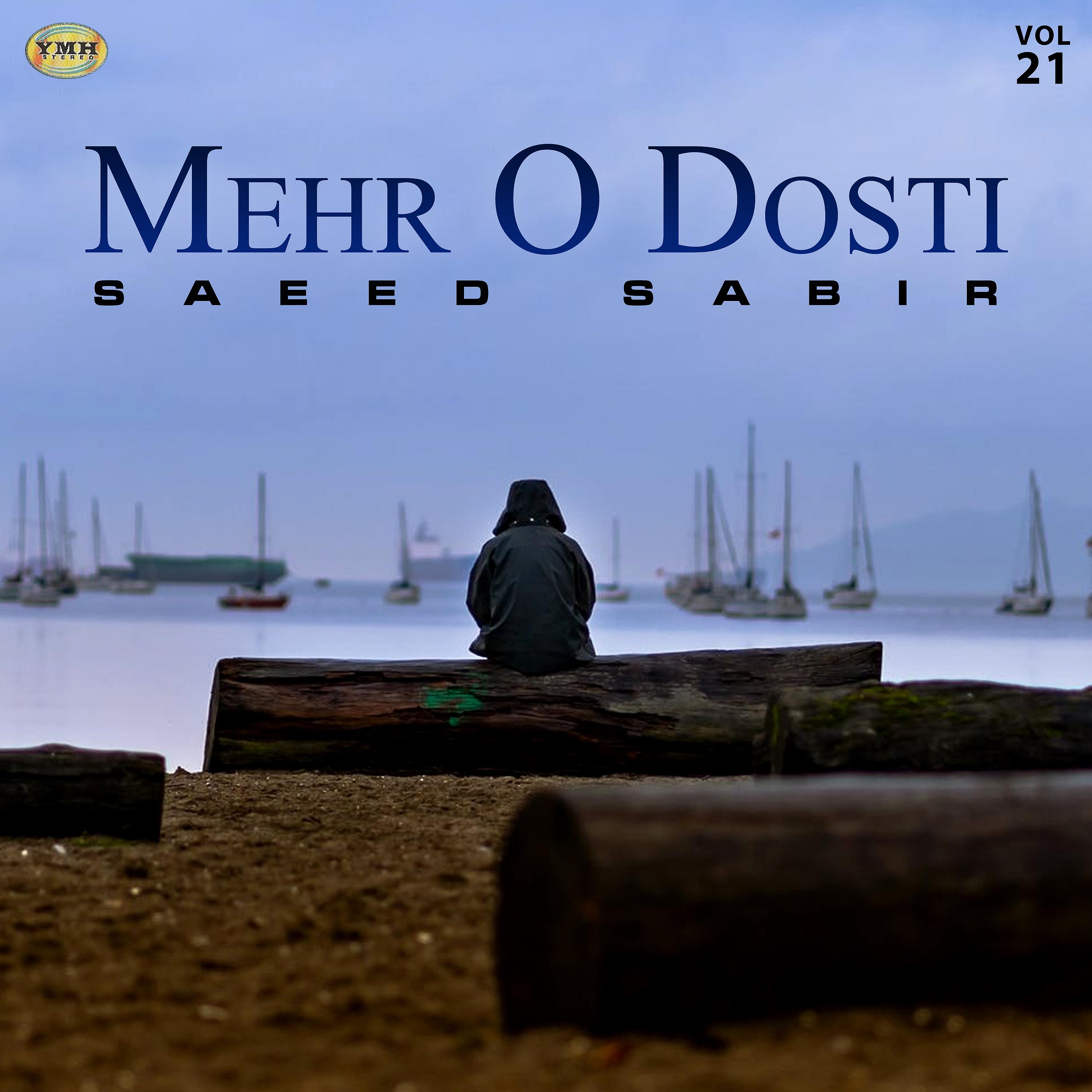 Постер альбома Mehr O Dosti, Vol. 21