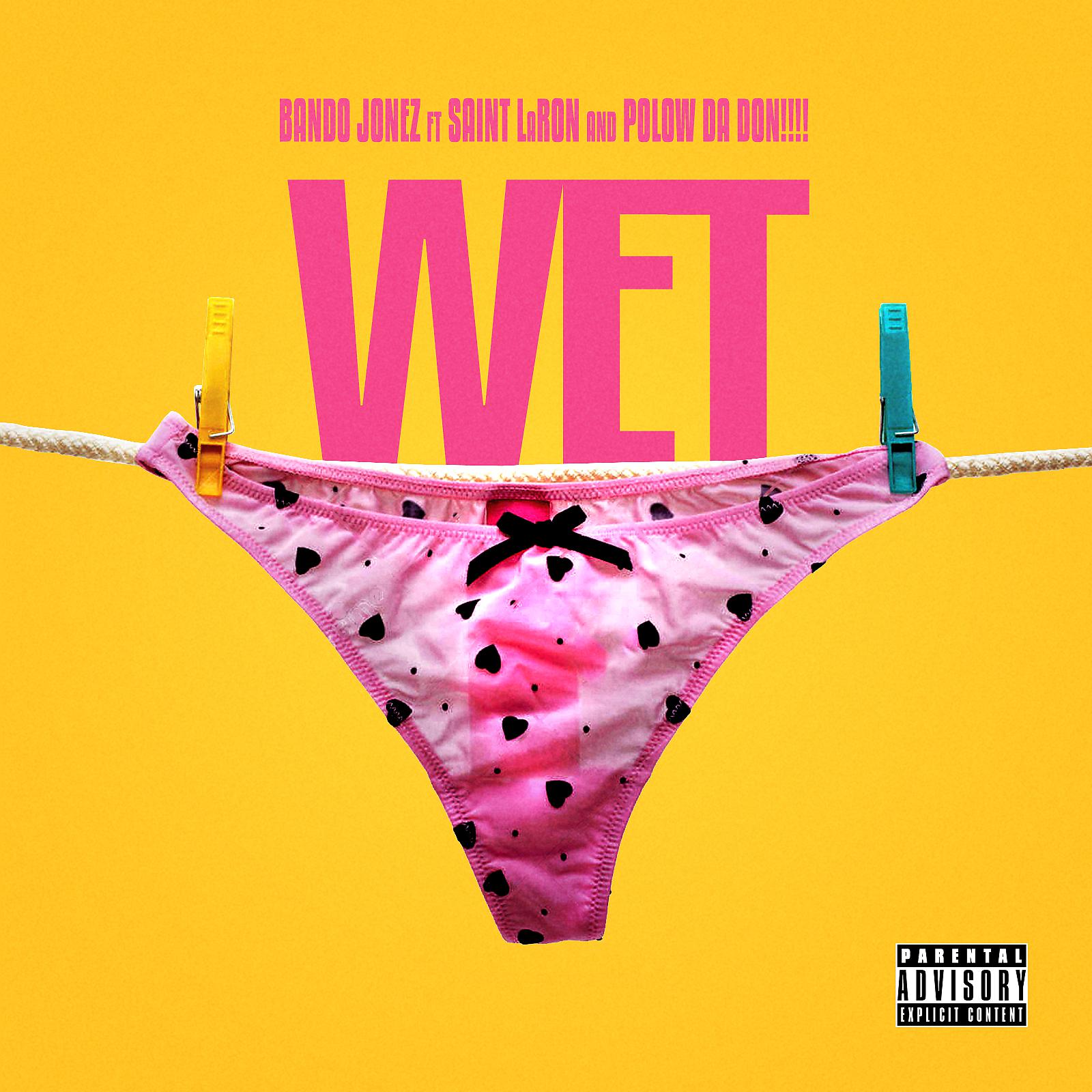 Постер альбома Wet (feat. Saint LaRon & Polow Da Don)