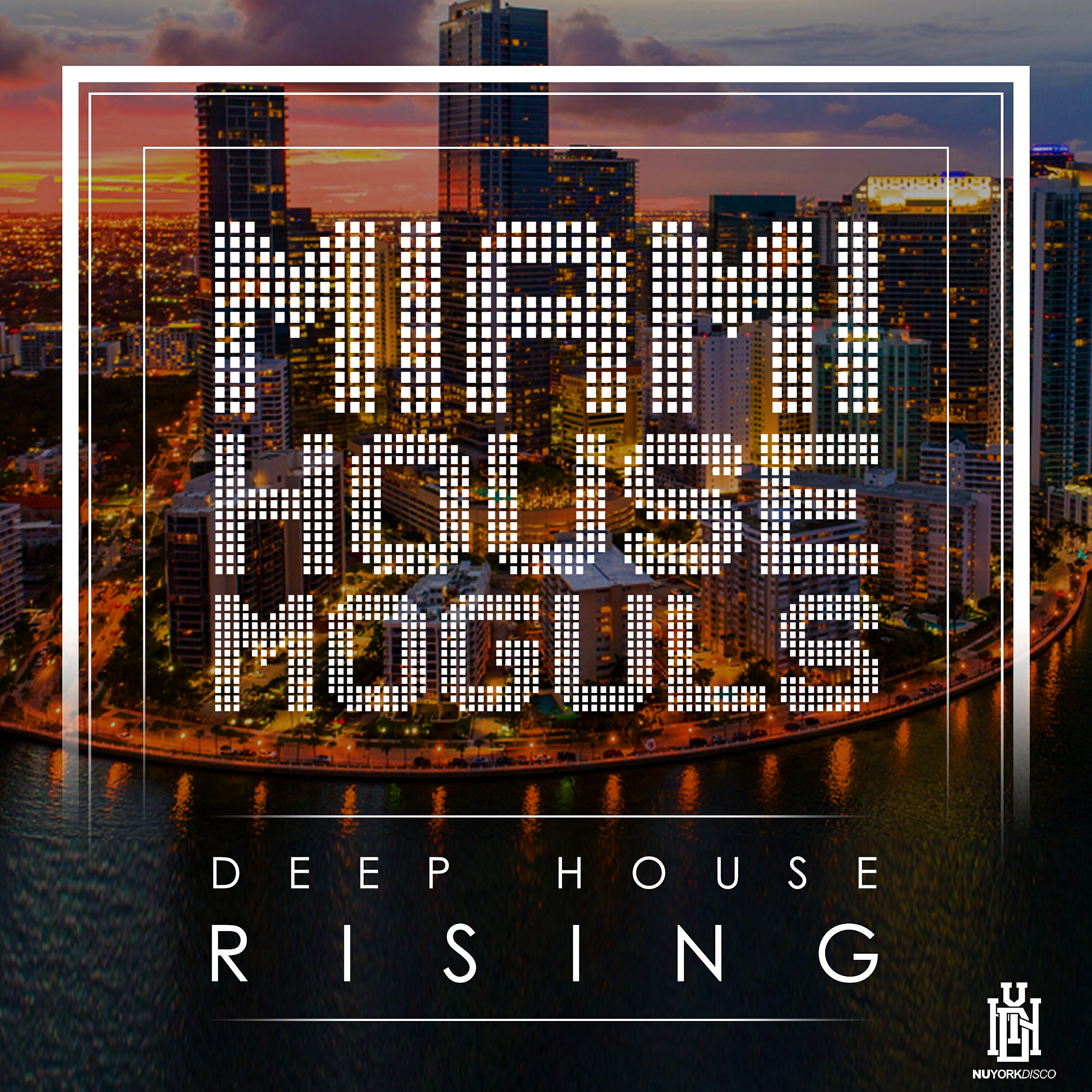 Miami House Moguls - Deep Disko