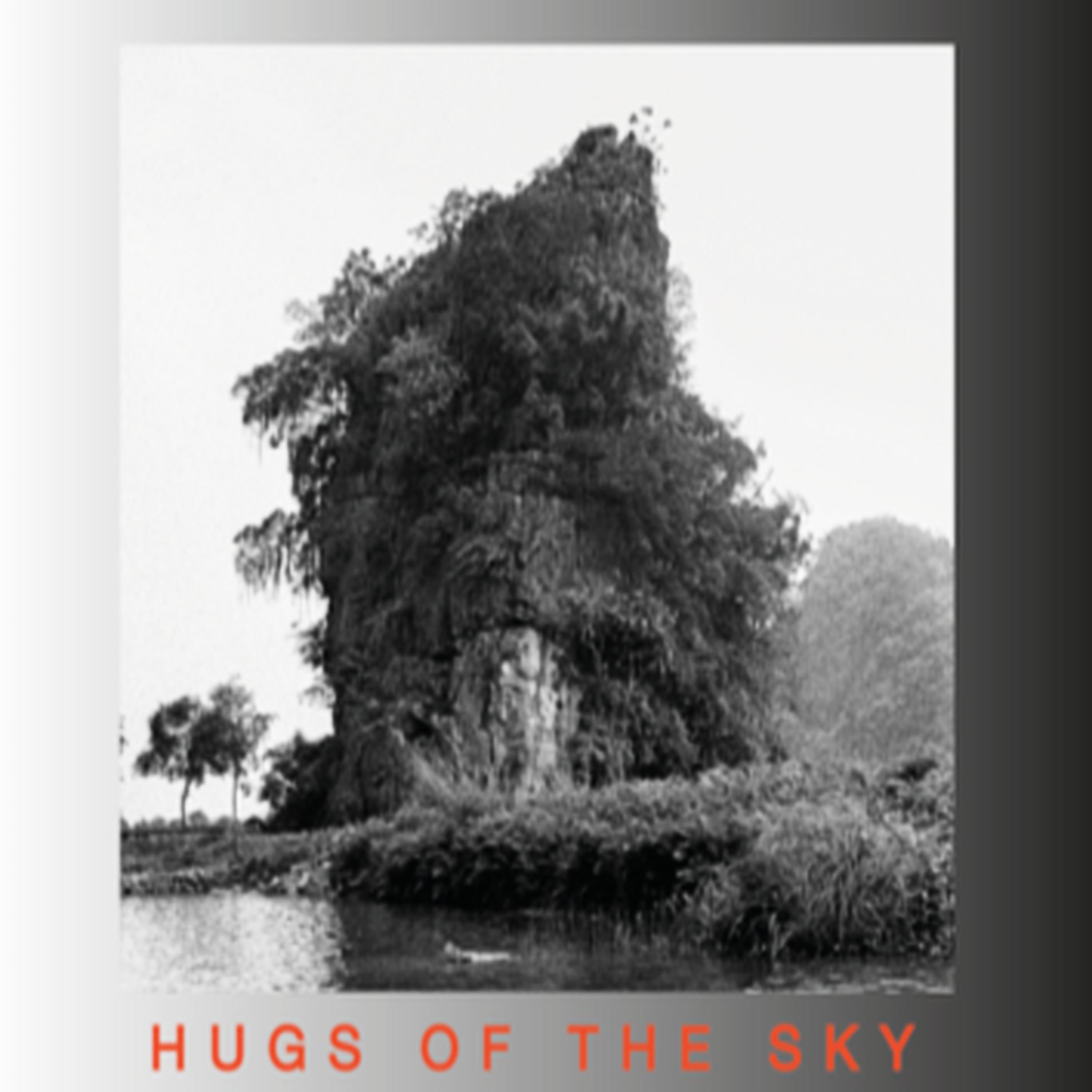 Постер альбома Hugs of the Sky