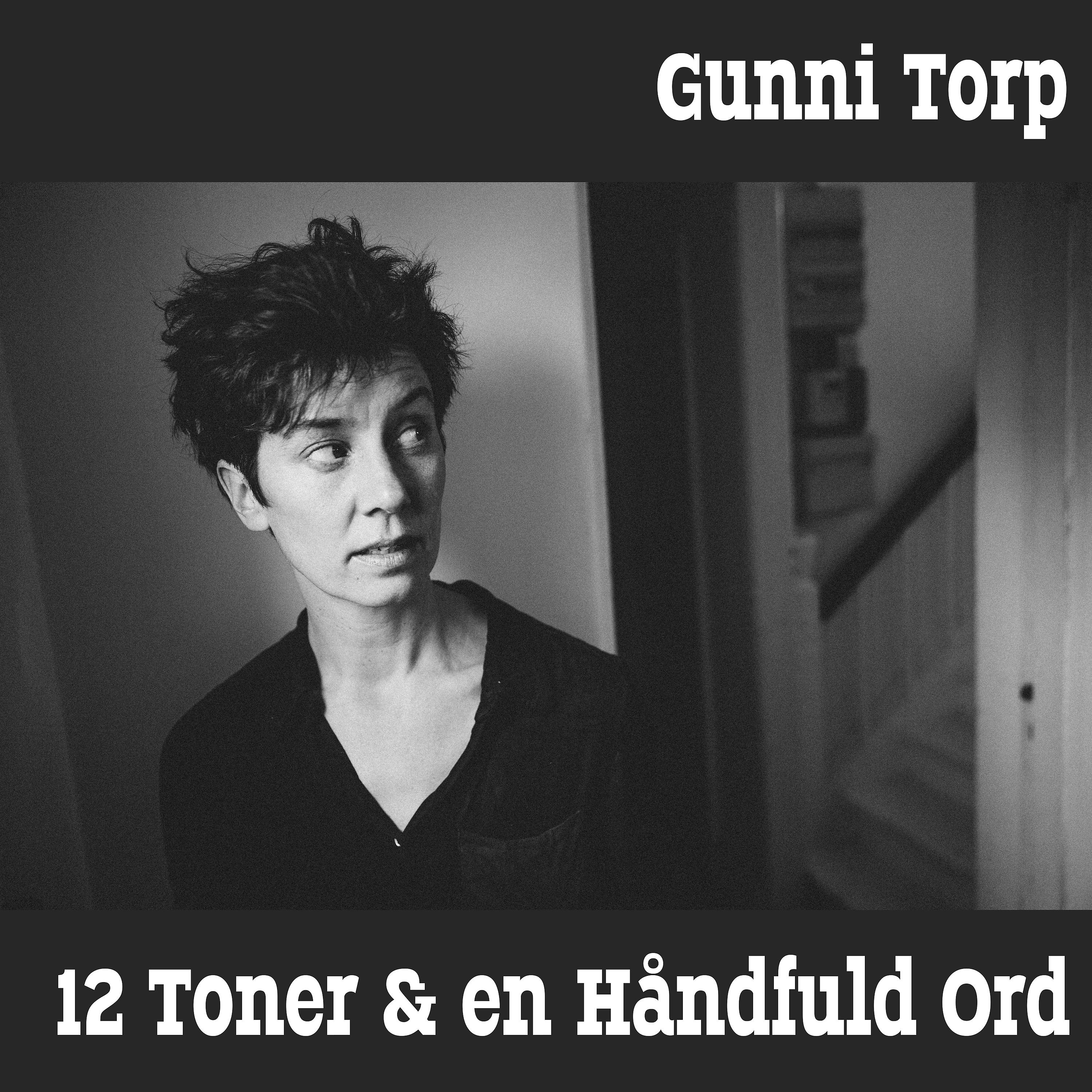Постер альбома 12 Toner & En Håndfuld Ord
