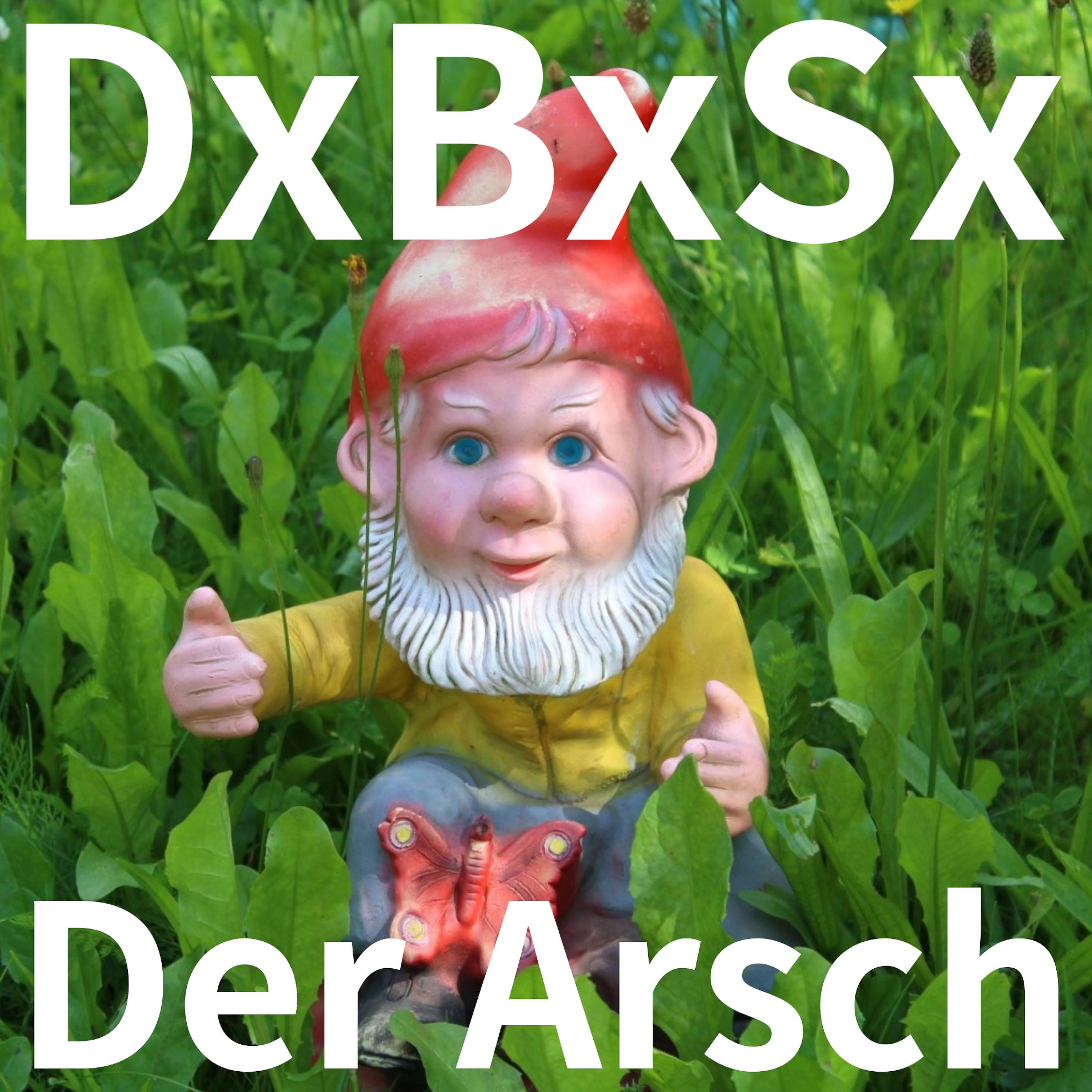 Постер альбома Der Arsch