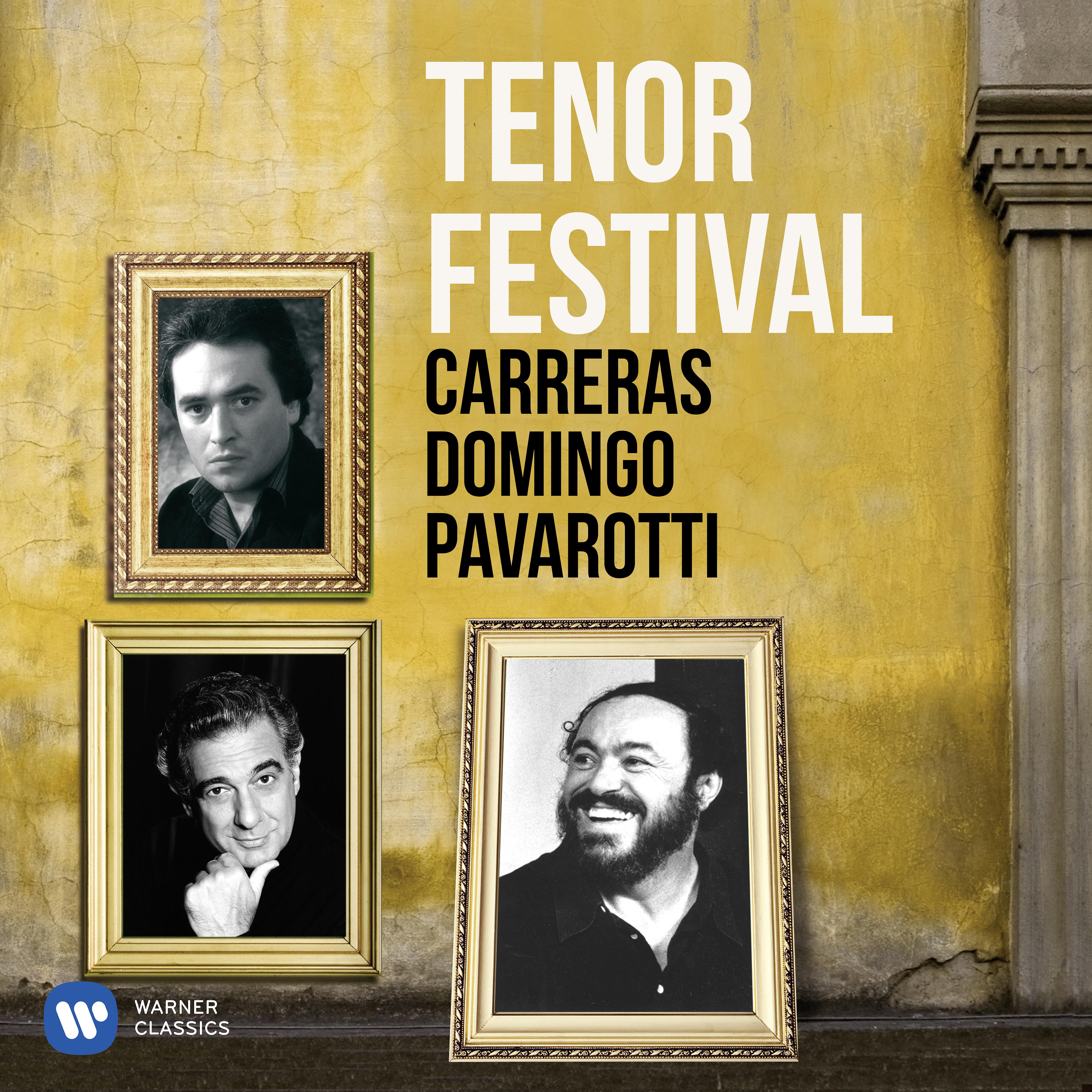 Постер альбома Tenor Festival: Pavarotti, Domingo, Carreras