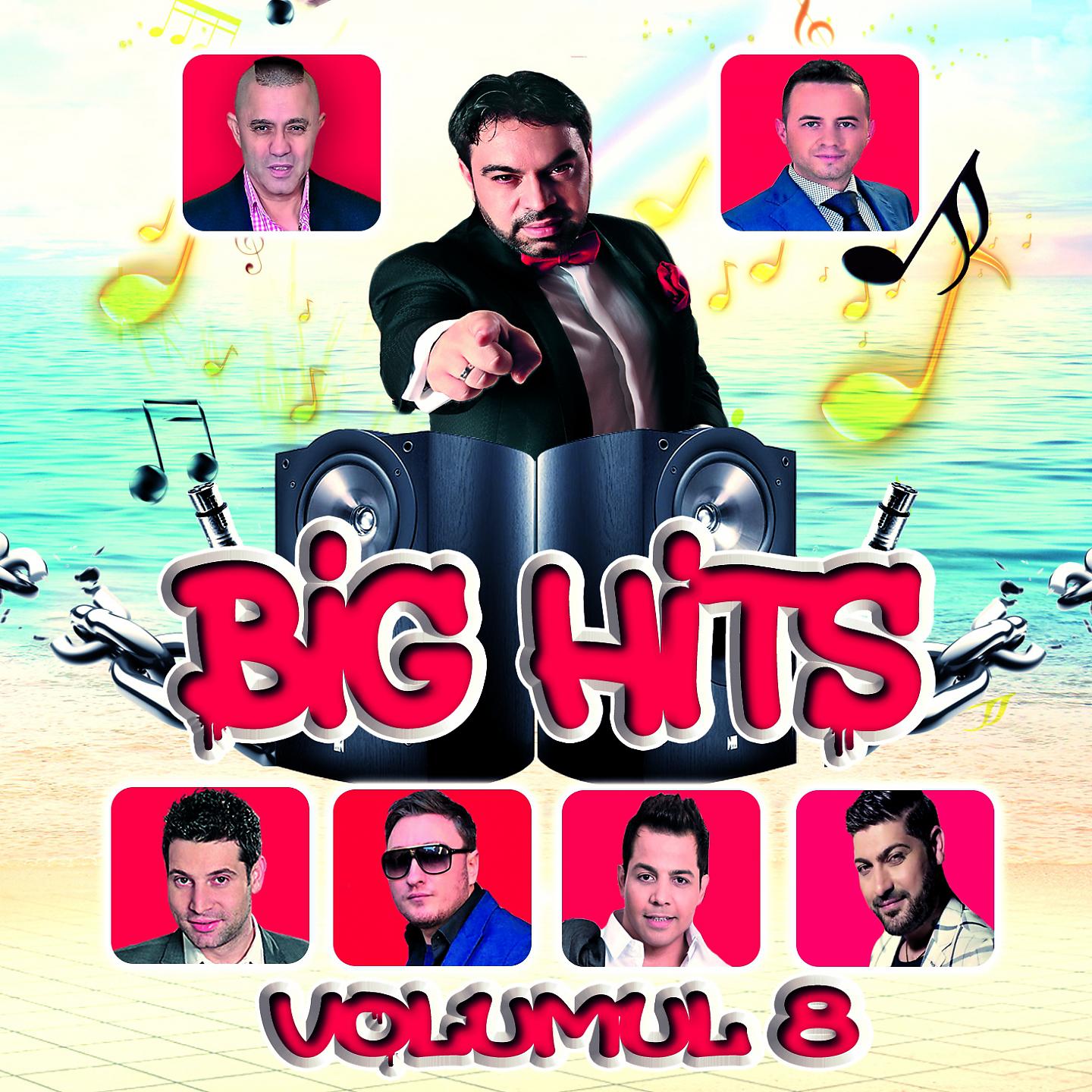 Постер альбома Big Hits, Vol. 8