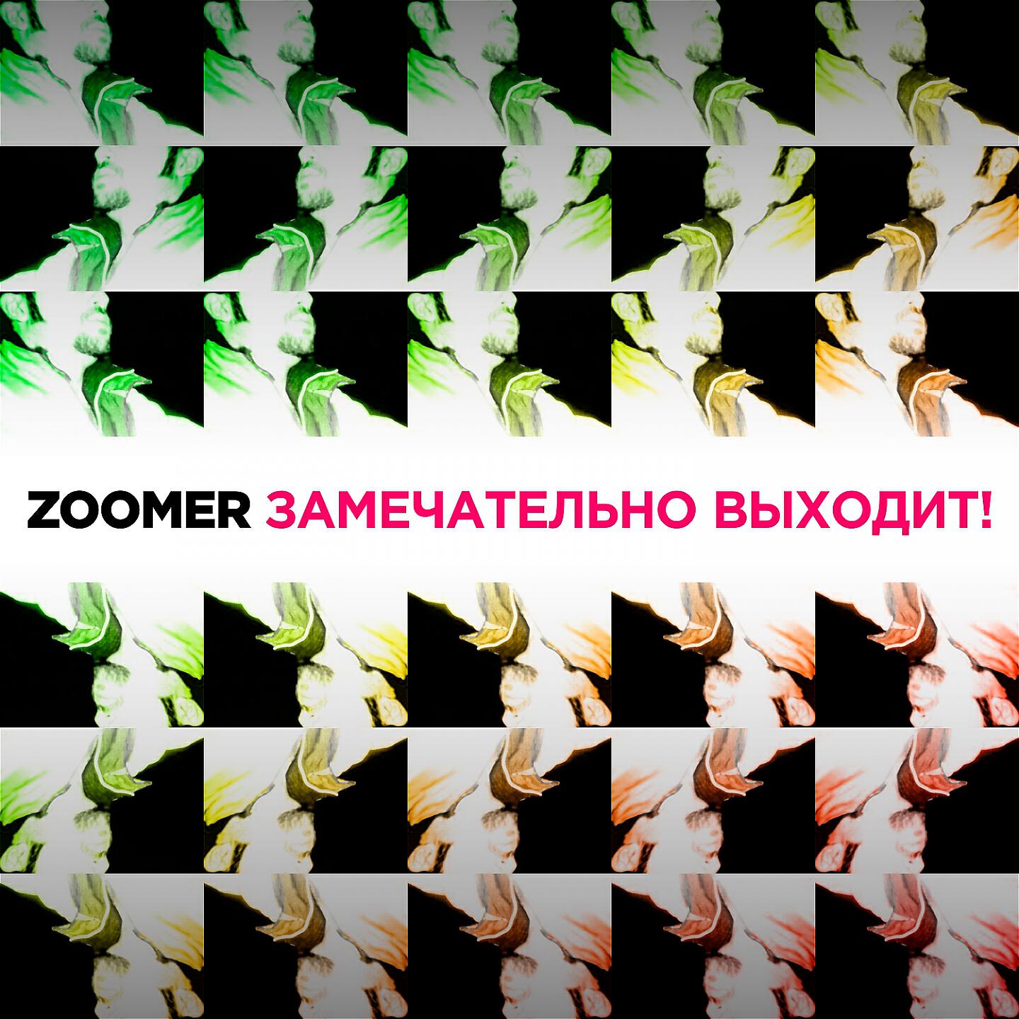 Zoomer - Хозяйка любви '99 (Am-Pheek Remix)