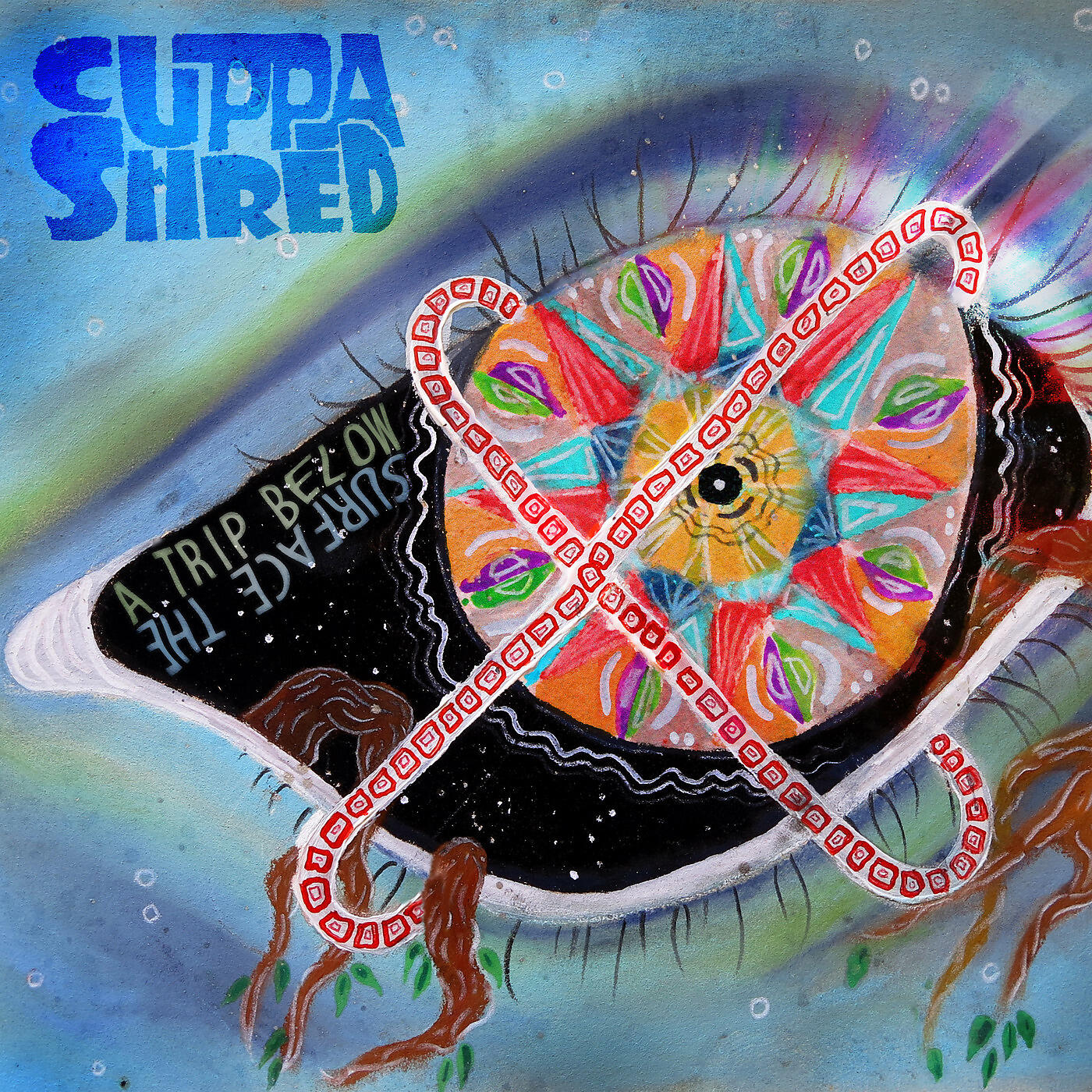 Cuppa Shred - Why Won't You Come My Way?