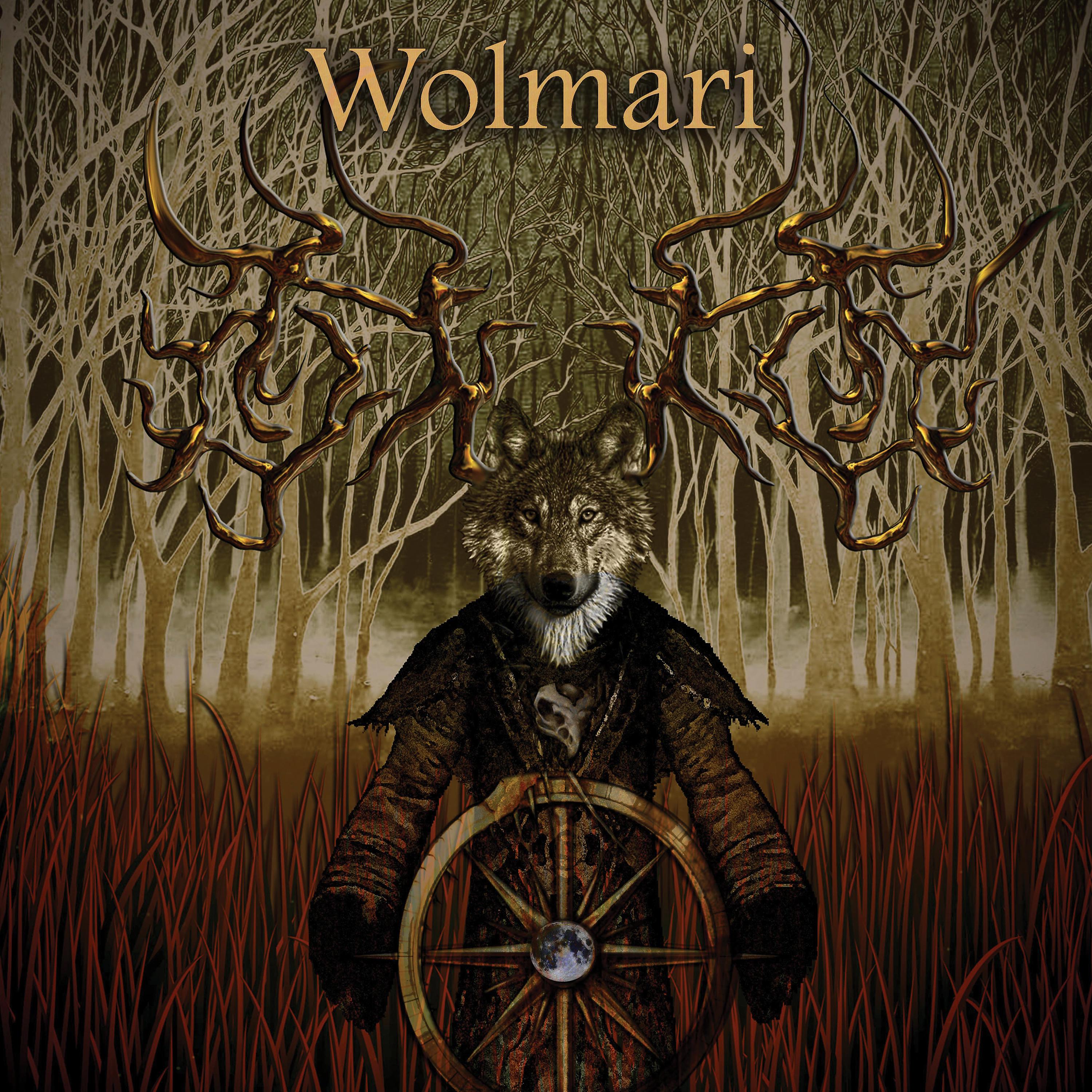 Постер альбома Wolmari