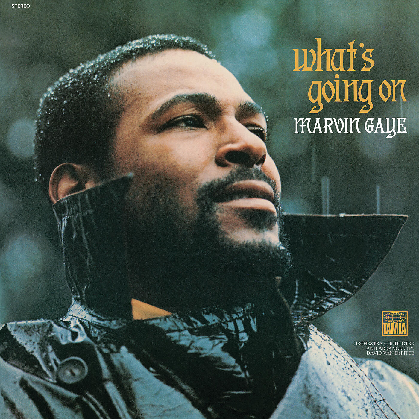 Marvin Gaye - What's Happening Brother