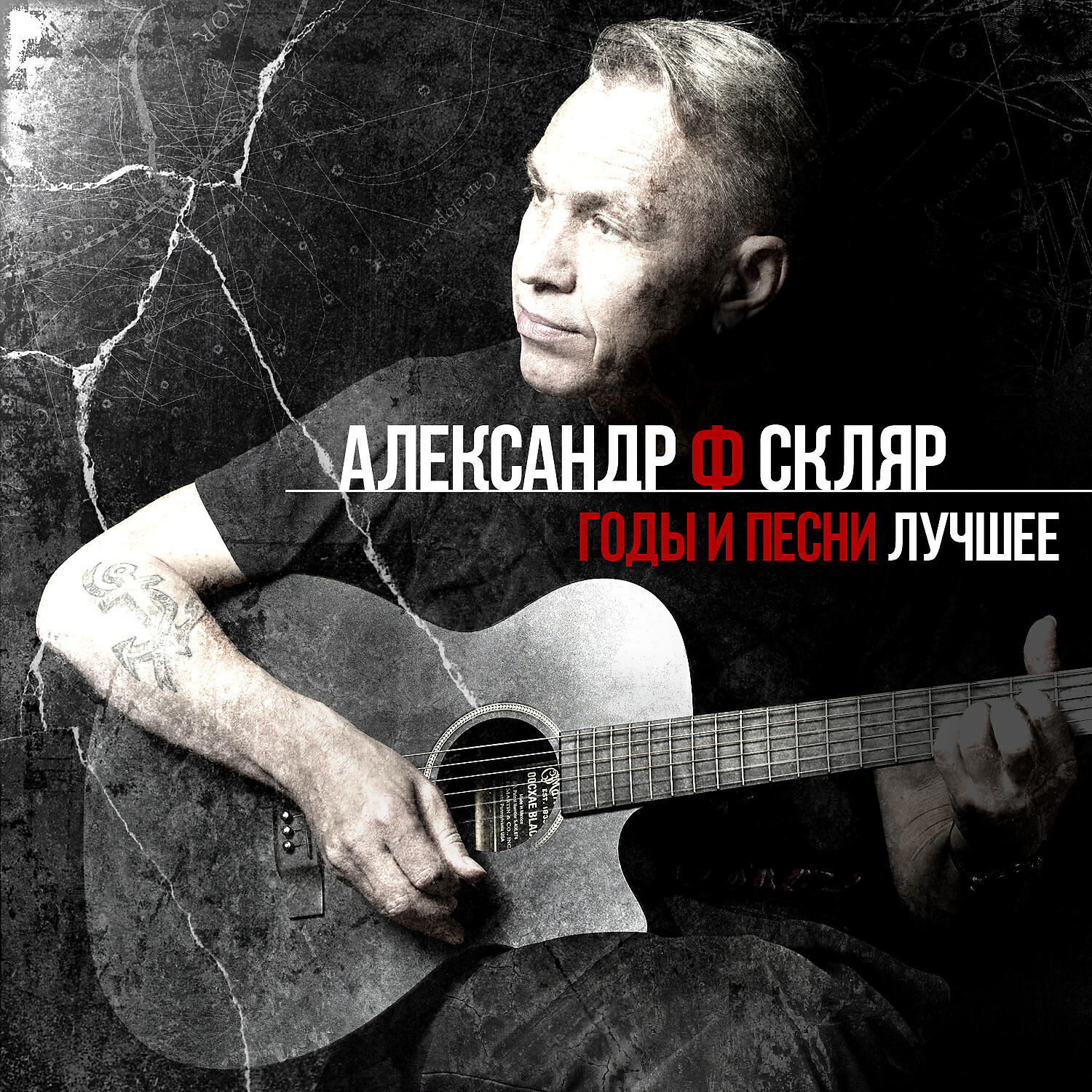 Александр Ф. Скляр - За гагарой с чёрным пером